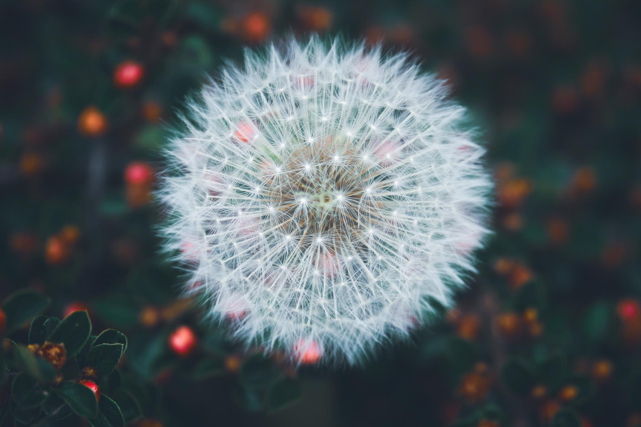 Общее портфолио. Фотограф в Москве Сергей Коршунов