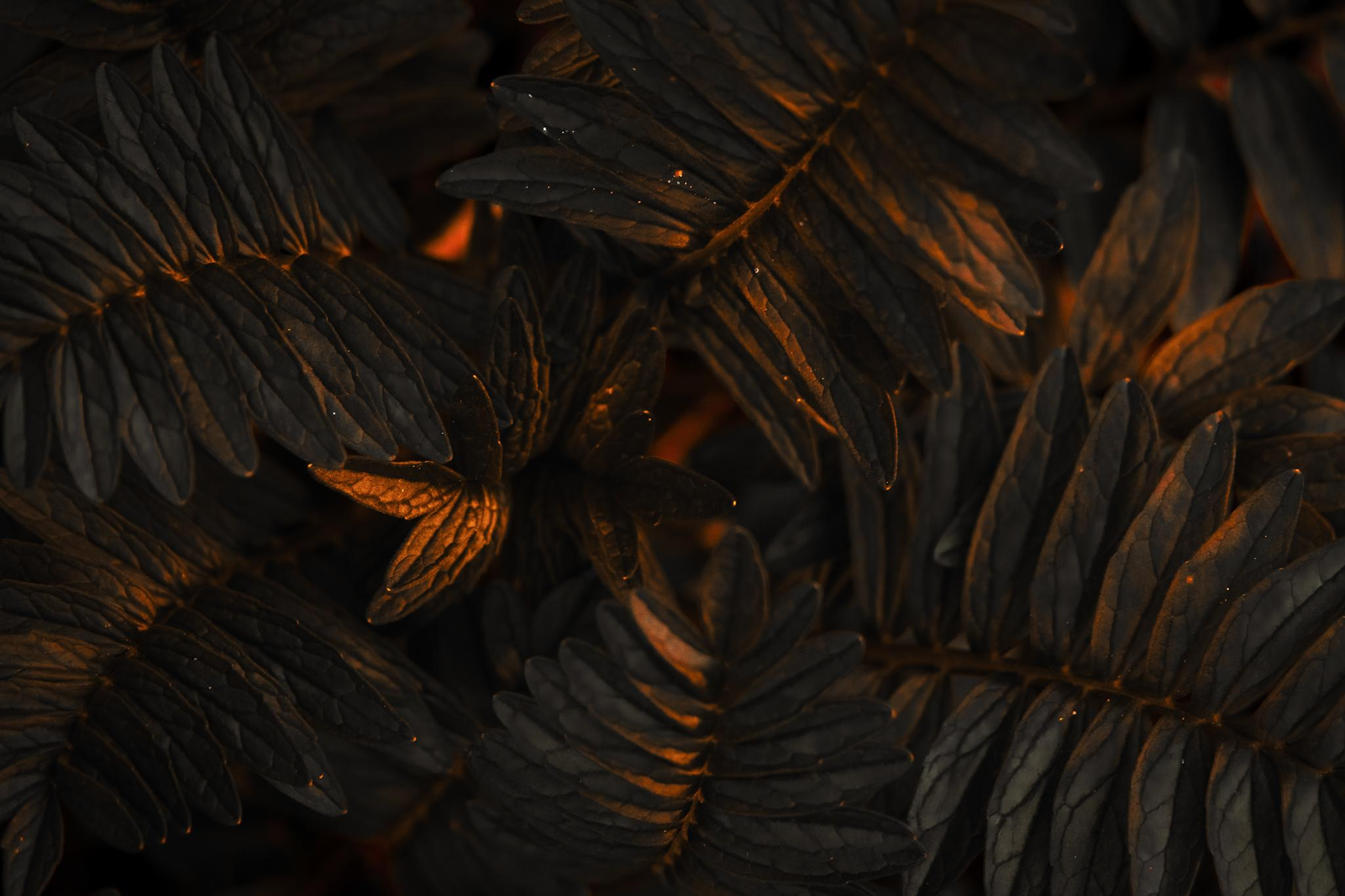 Общее портфолио. Фотограф в Москве Сергей Коршунов