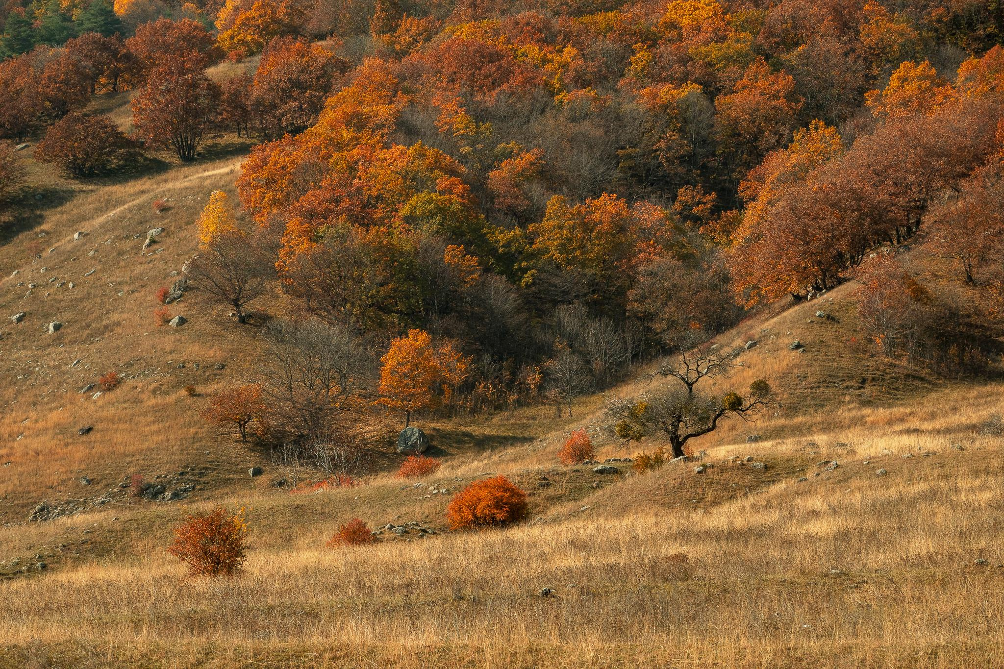 Общее портфолио. Фотограф в Москве Сергей Коршунов