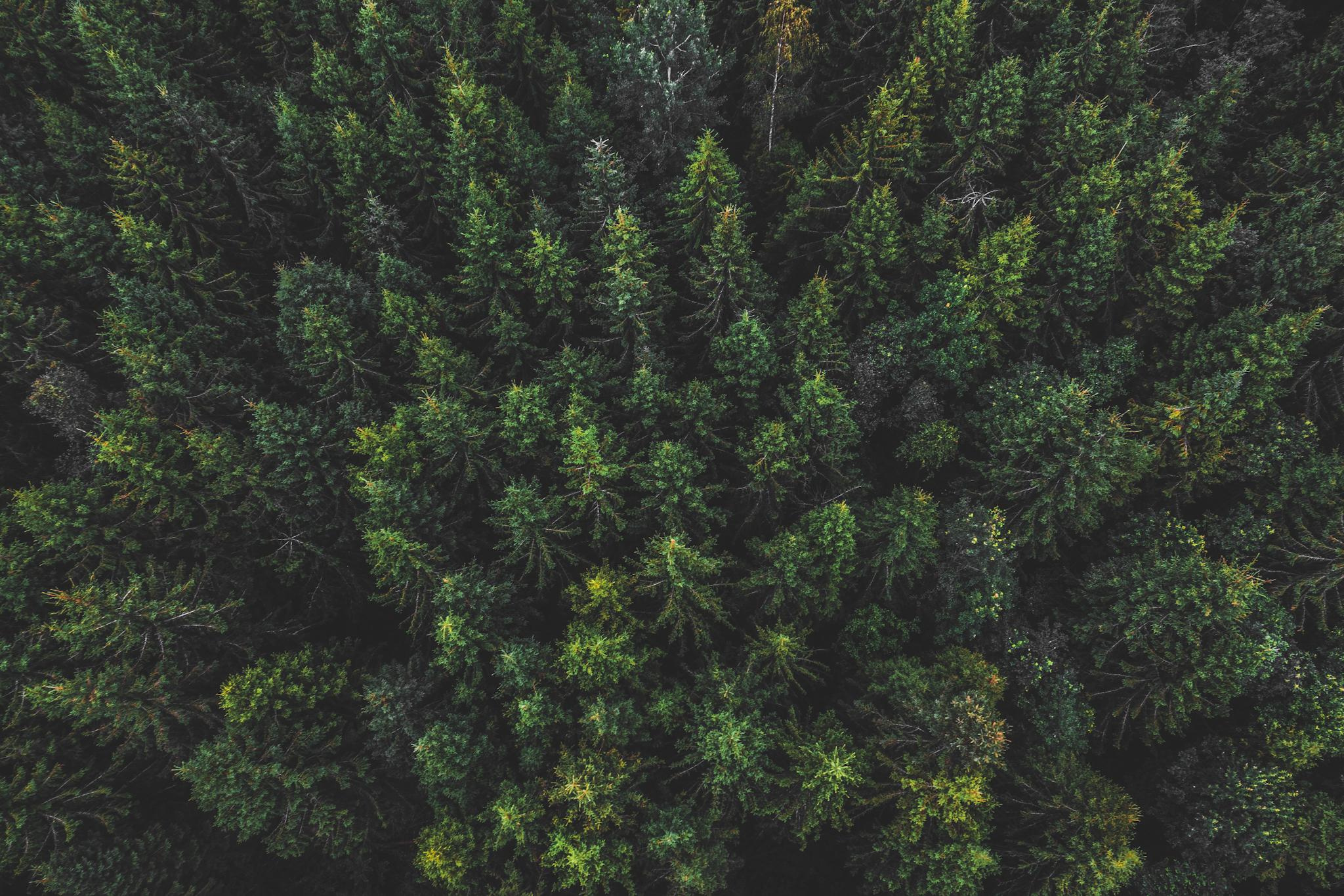 Общее портфолио. Фотограф в Москве Сергей Коршунов