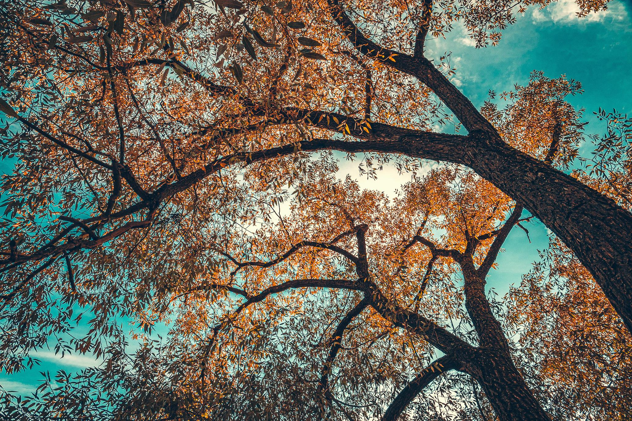 Общее портфолио. Фотограф в Москве Сергей Коршунов