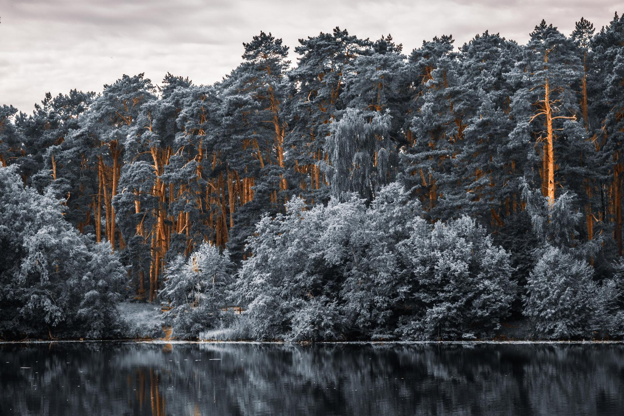 Общее портфолио. Фотограф в Москве Сергей Коршунов