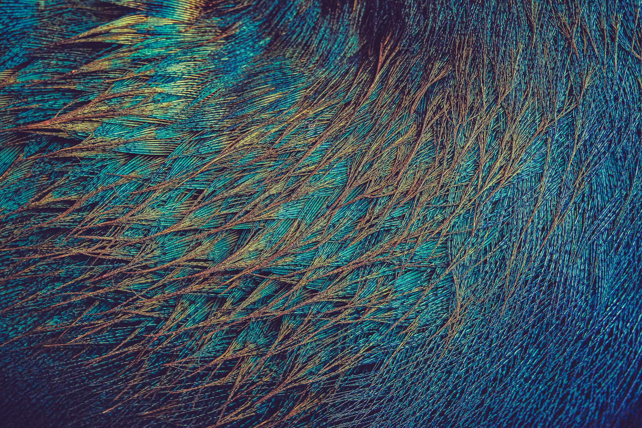 Общее портфолио. Фотограф в Москве Сергей Коршунов