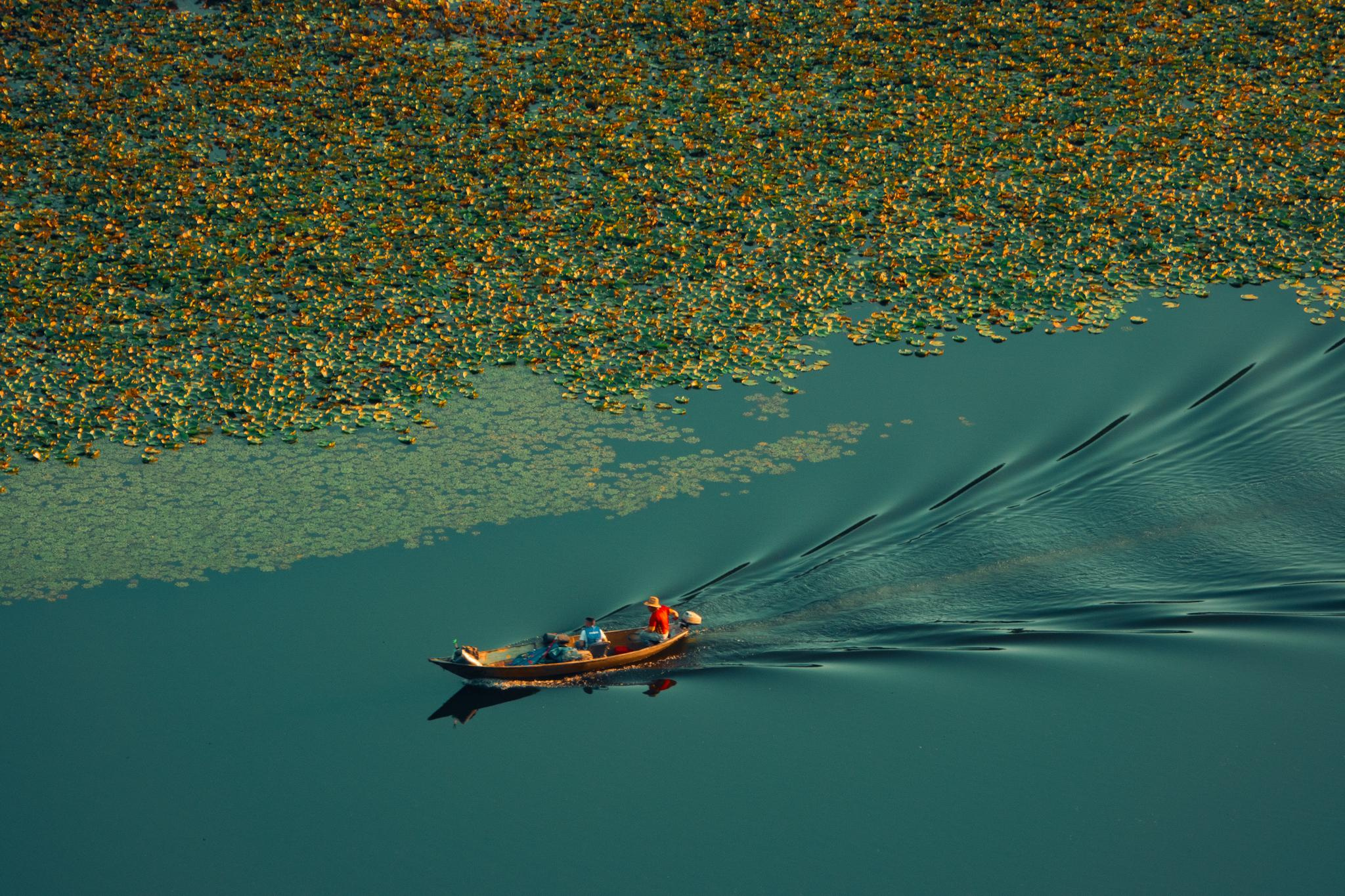 Общее портфолио. Фотограф в Москве Сергей Коршунов