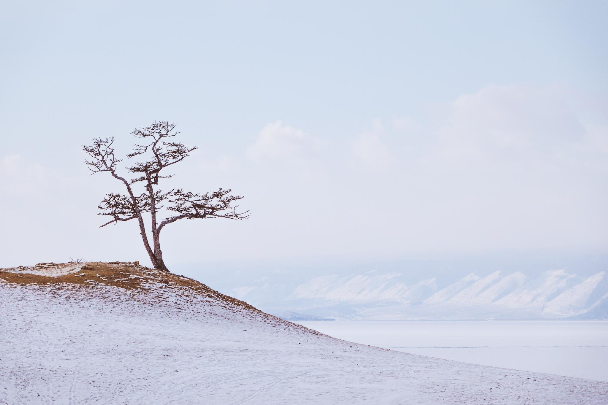Общее портфолио. Фотограф в Москве Сергей Коршунов