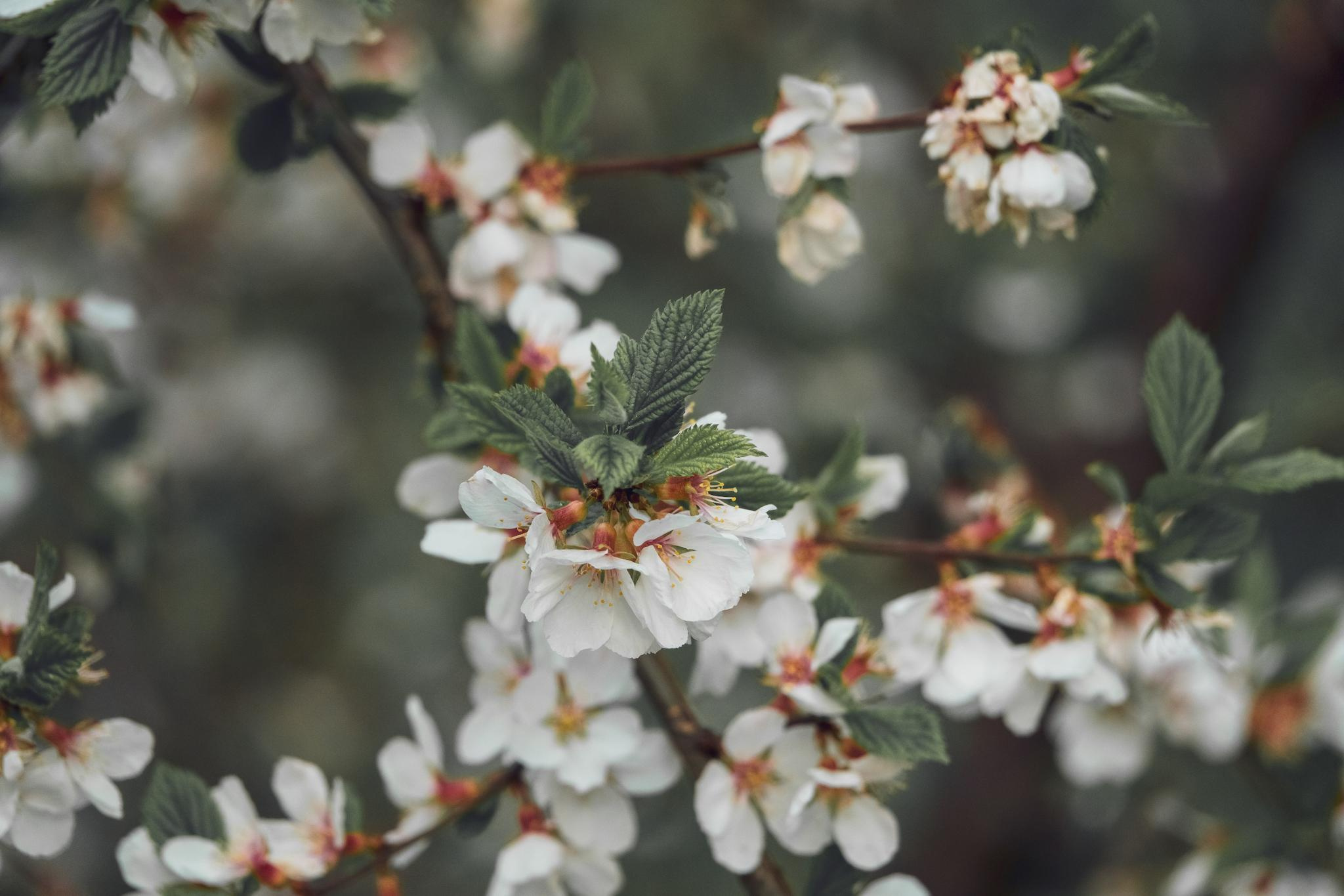 Общее портфолио. Фотограф в Москве Сергей Коршунов