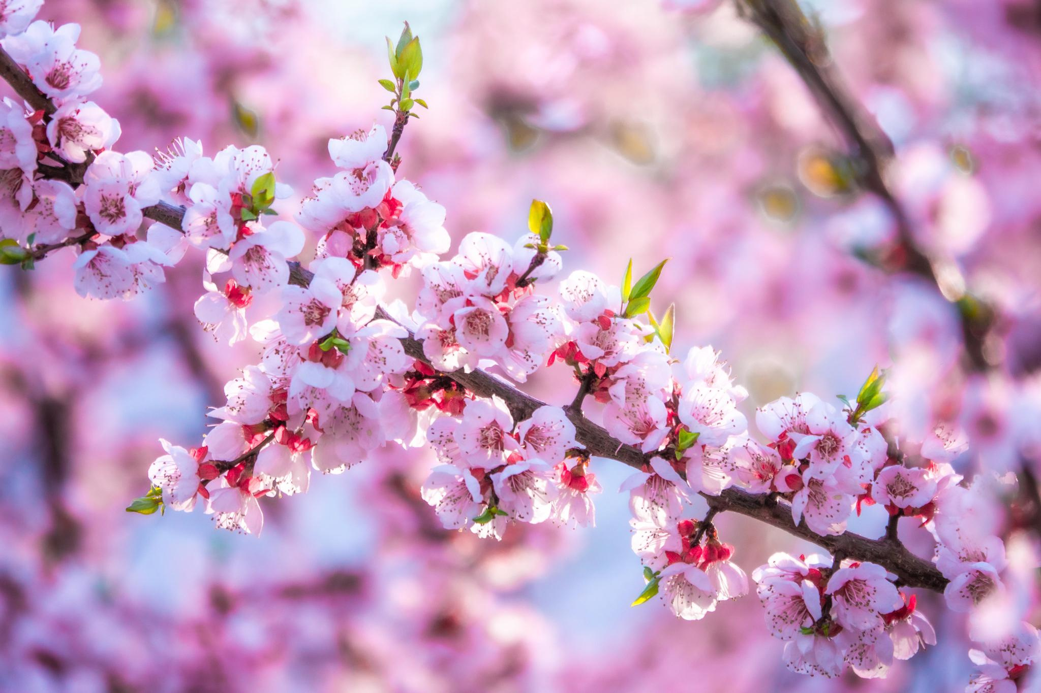 Общее портфолио. Фотограф в Москве Сергей Коршунов