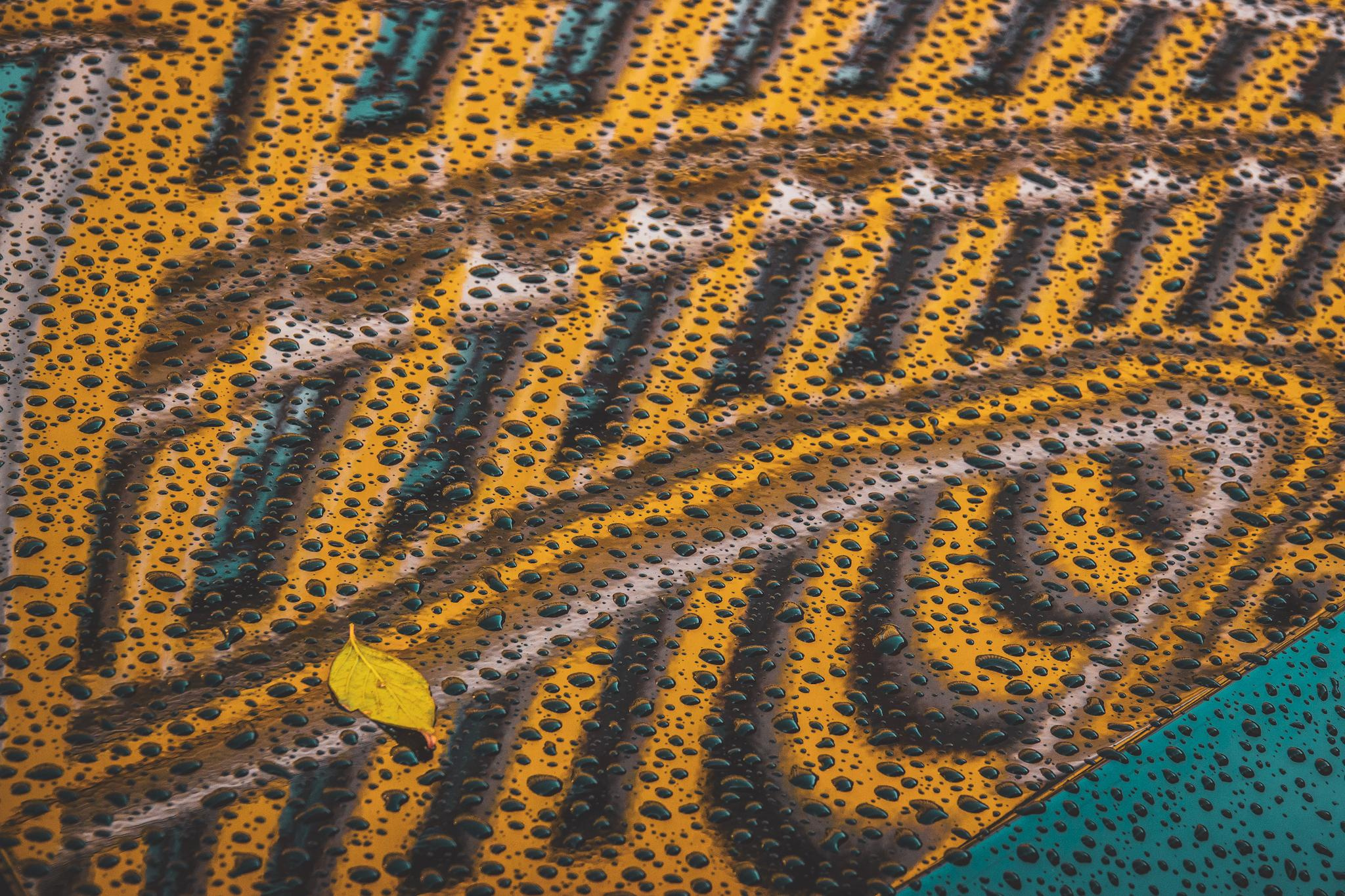 Общее портфолио. Фотограф в Москве Сергей Коршунов