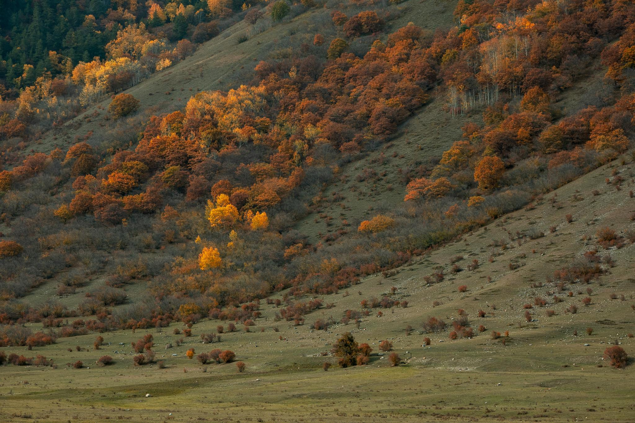 Общее портфолио. Фотограф в Москве Сергей Коршунов