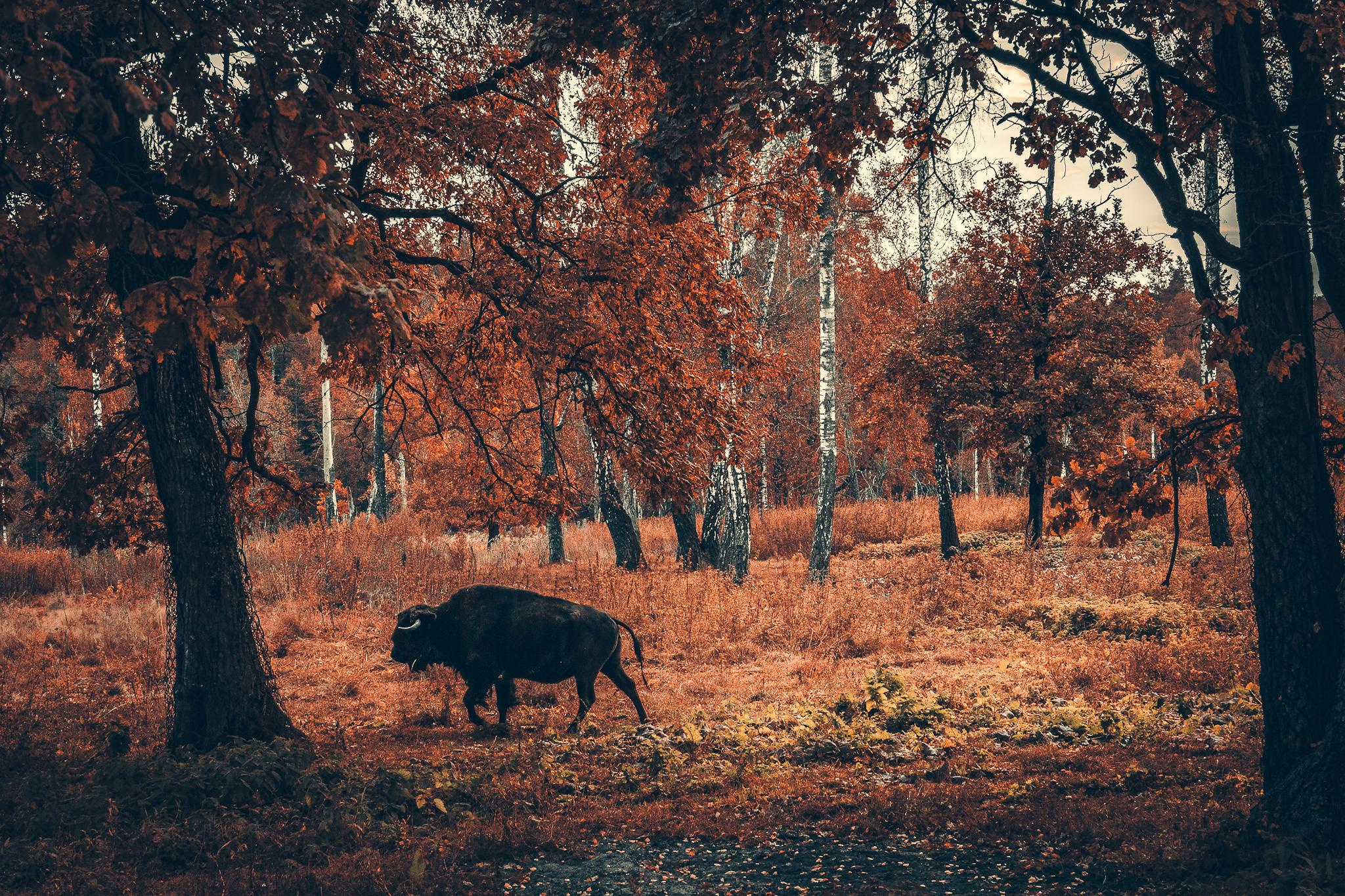 Общее портфолио. Фотограф в Москве Сергей Коршунов