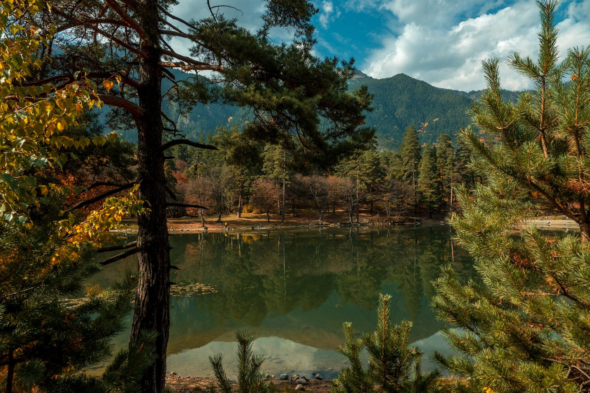 Общее портфолио. Фотограф в Москве Сергей Коршунов