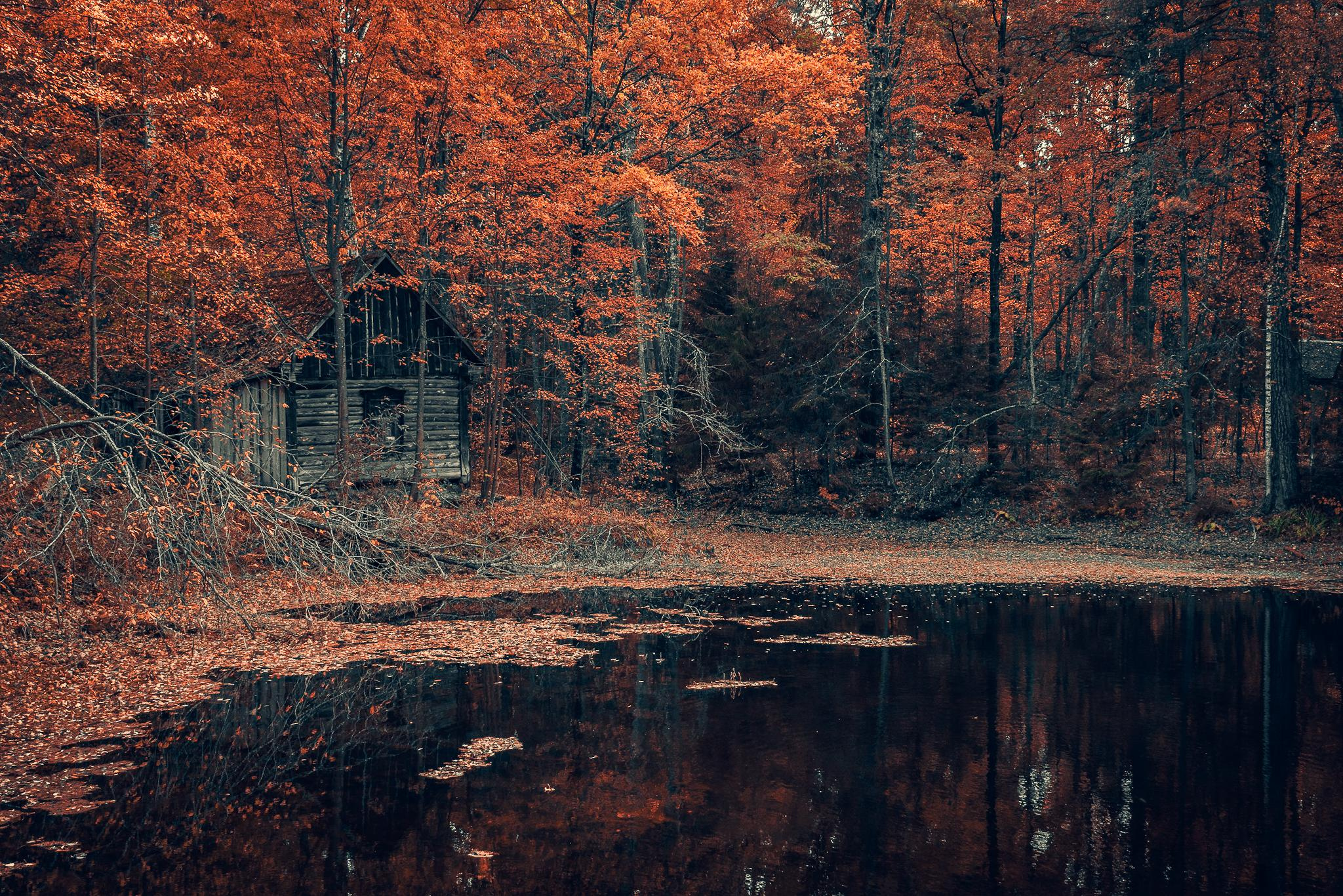 Общее портфолио. Фотограф в Москве Сергей Коршунов