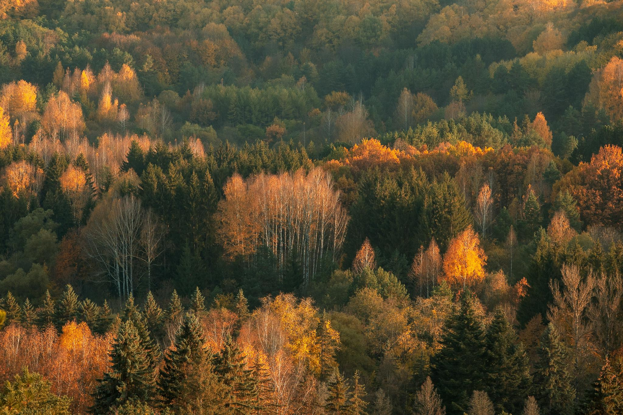 Общее портфолио. Фотограф в Москве Сергей Коршунов