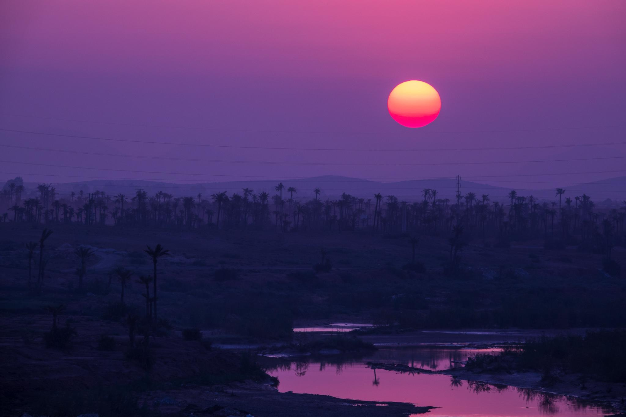 Общее портфолио. Фотограф в Москве Сергей Коршунов