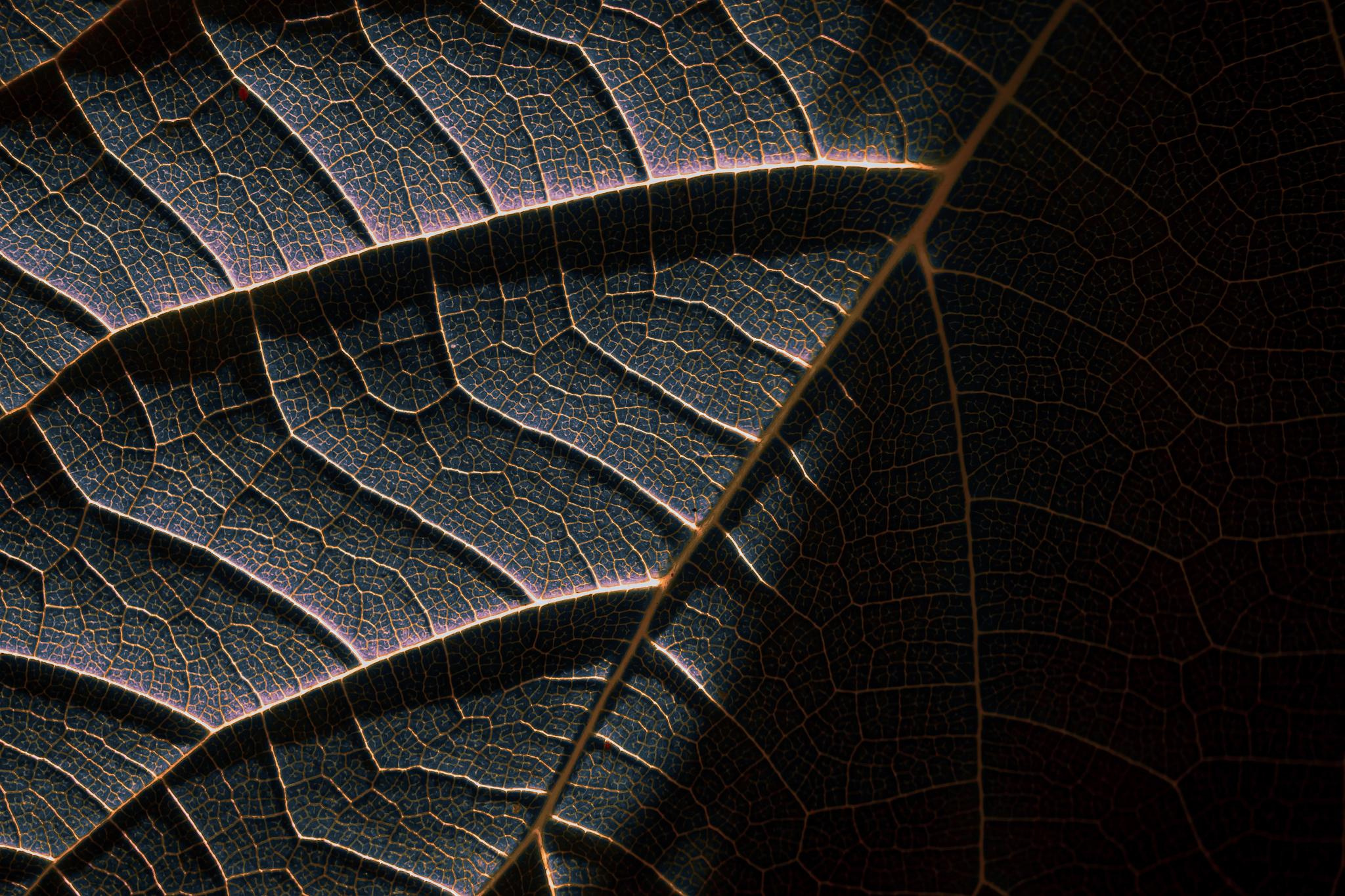 Общее портфолио. Фотограф в Москве Сергей Коршунов