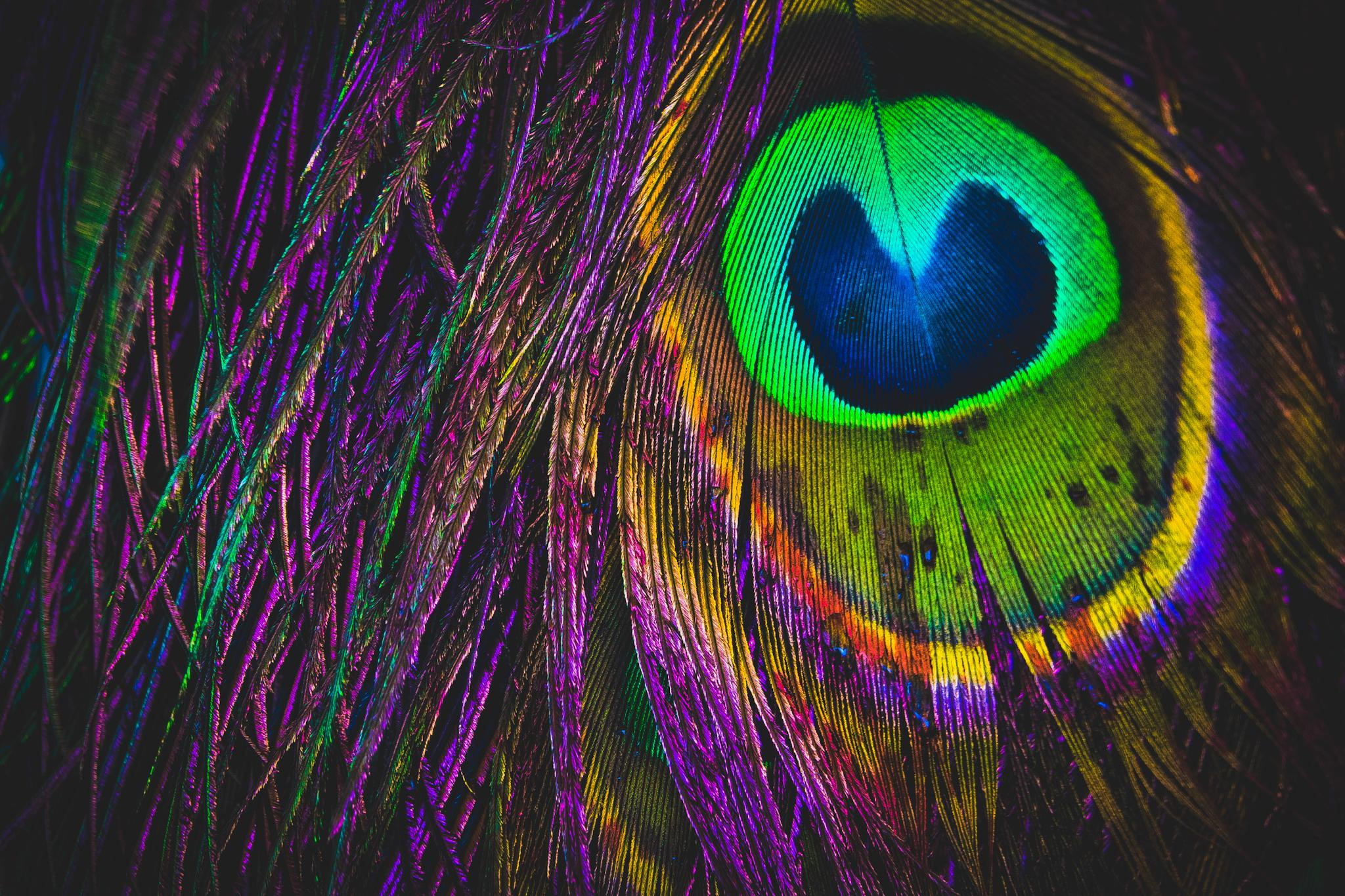 Общее портфолио. Фотограф в Москве Сергей Коршунов