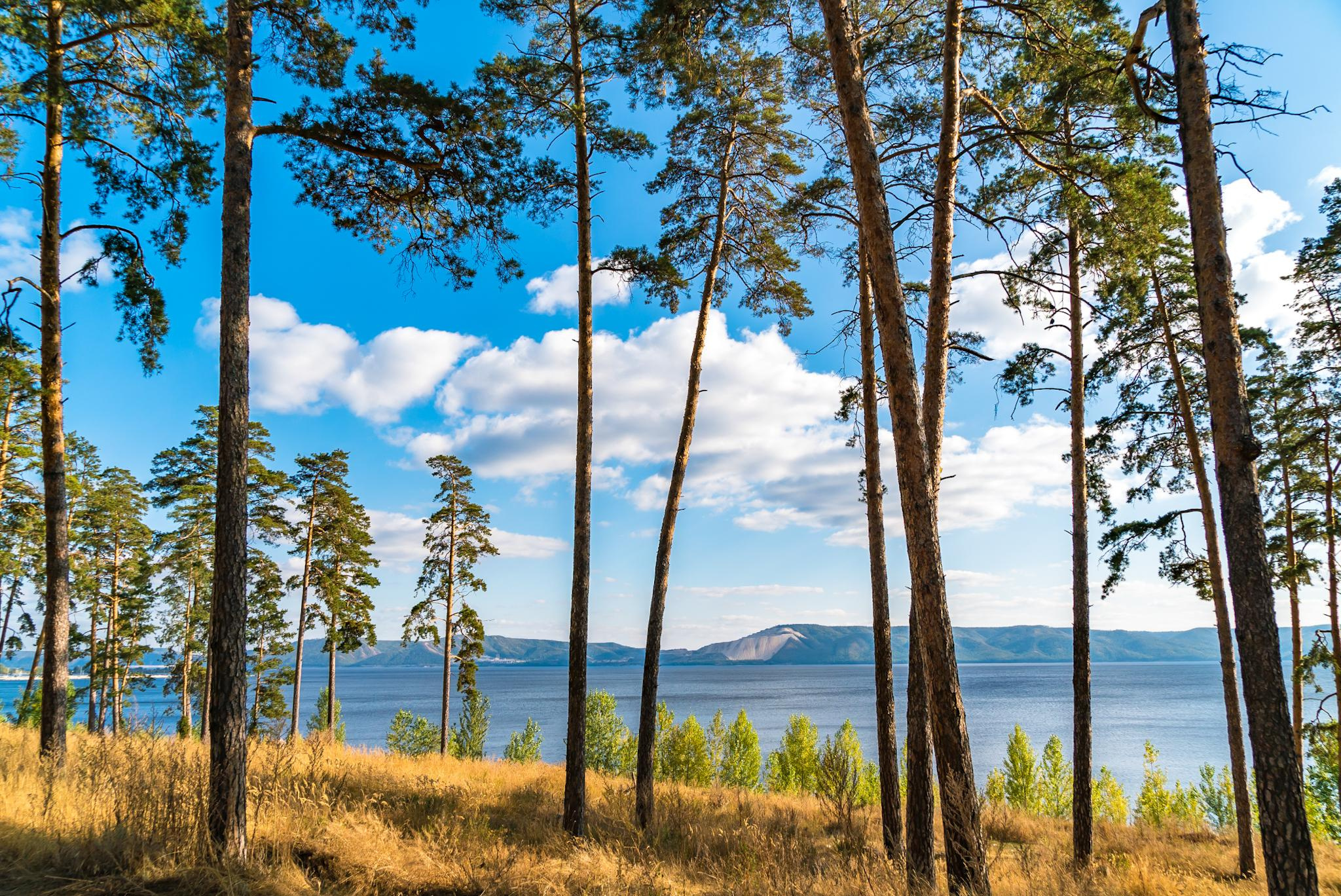 Общее портфолио. Фотограф в Москве Сергей Коршунов