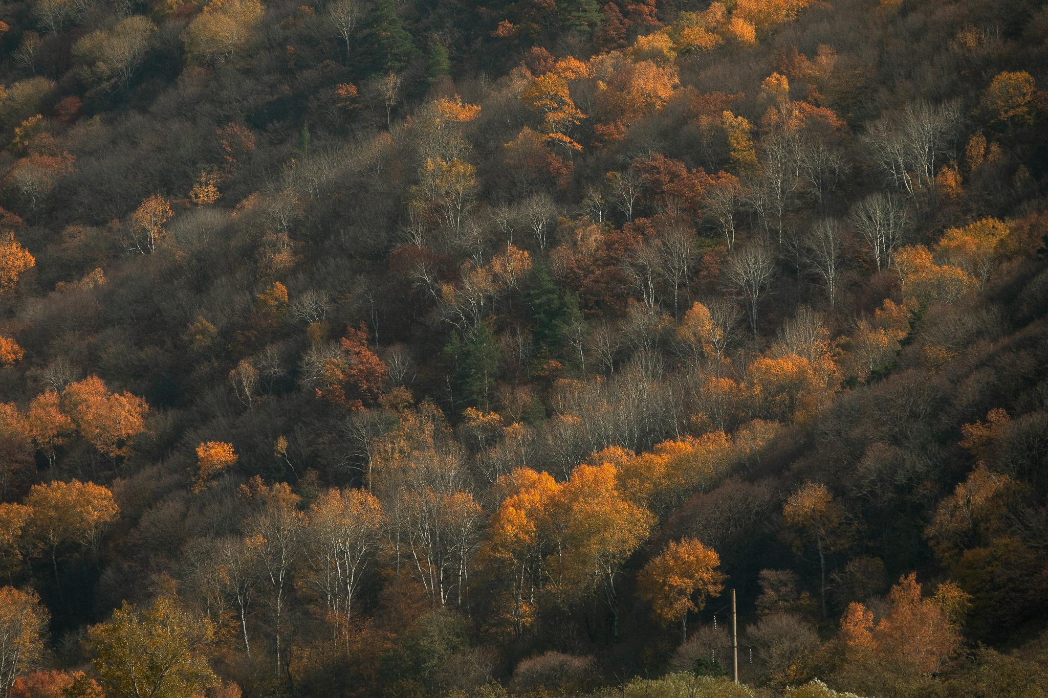 Общее портфолио. Фотограф в Москве Сергей Коршунов