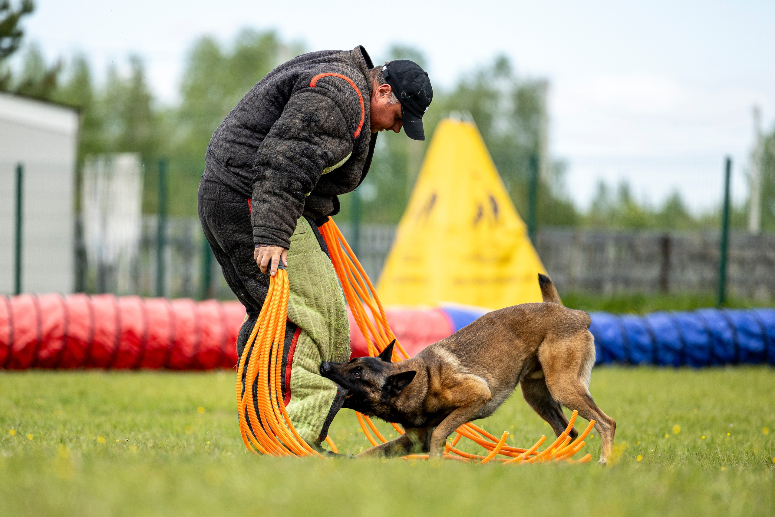 Испытания по мондьорингу в Нижнем Новгороде. Фотограф-анималист Анна Маринич