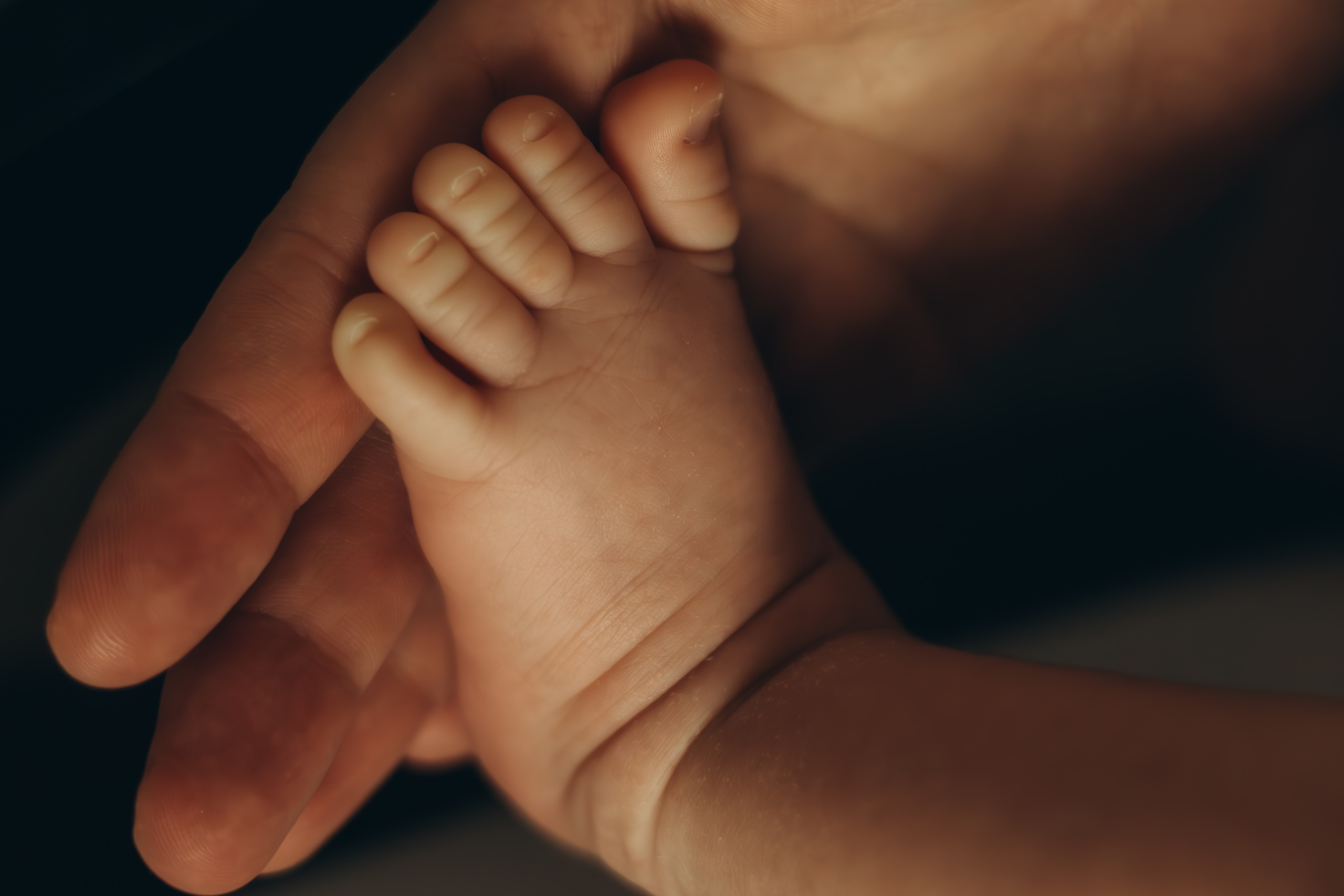 Семейная / Домашняя. Анна Лобастова | Фотограф для особенных мгновений ❤ Москва Люберцы