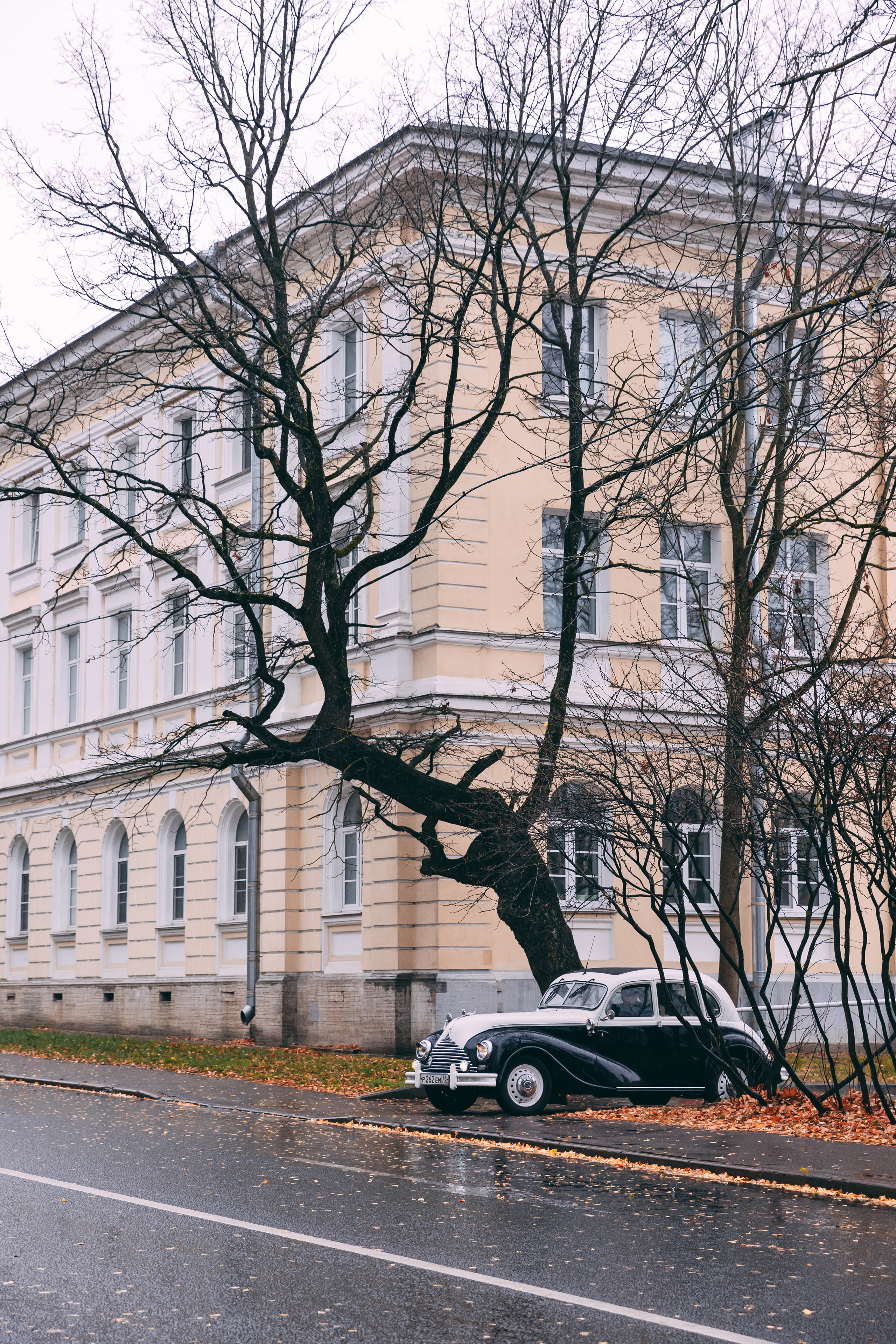 Андрей и Наташа (сборы, загс в Пушкине, прогулка, студия). Семейный фотограф в Санкт-Петербурге Алиса Мохова