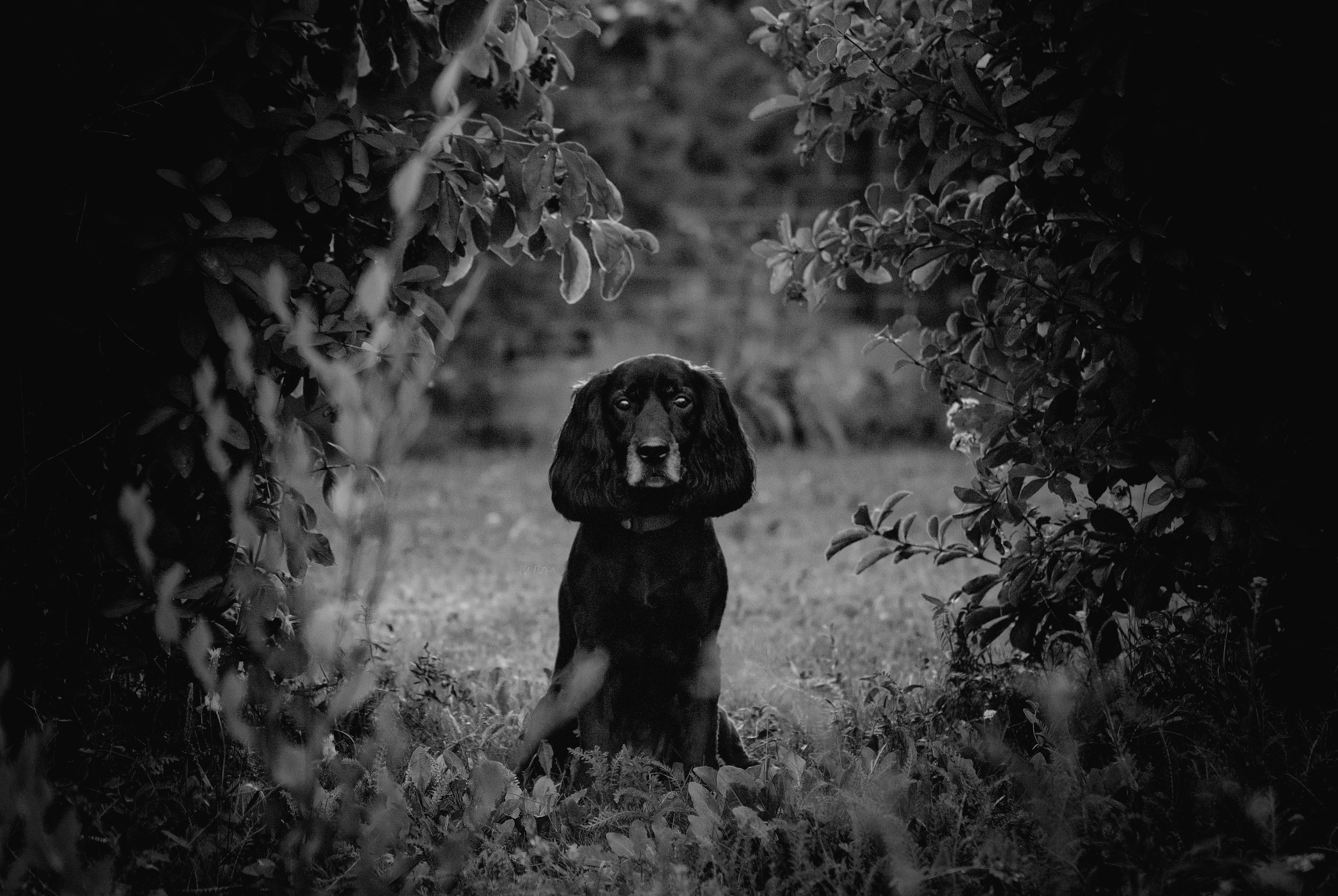 Фотограф в Тюмени Лизавета Сапицкая