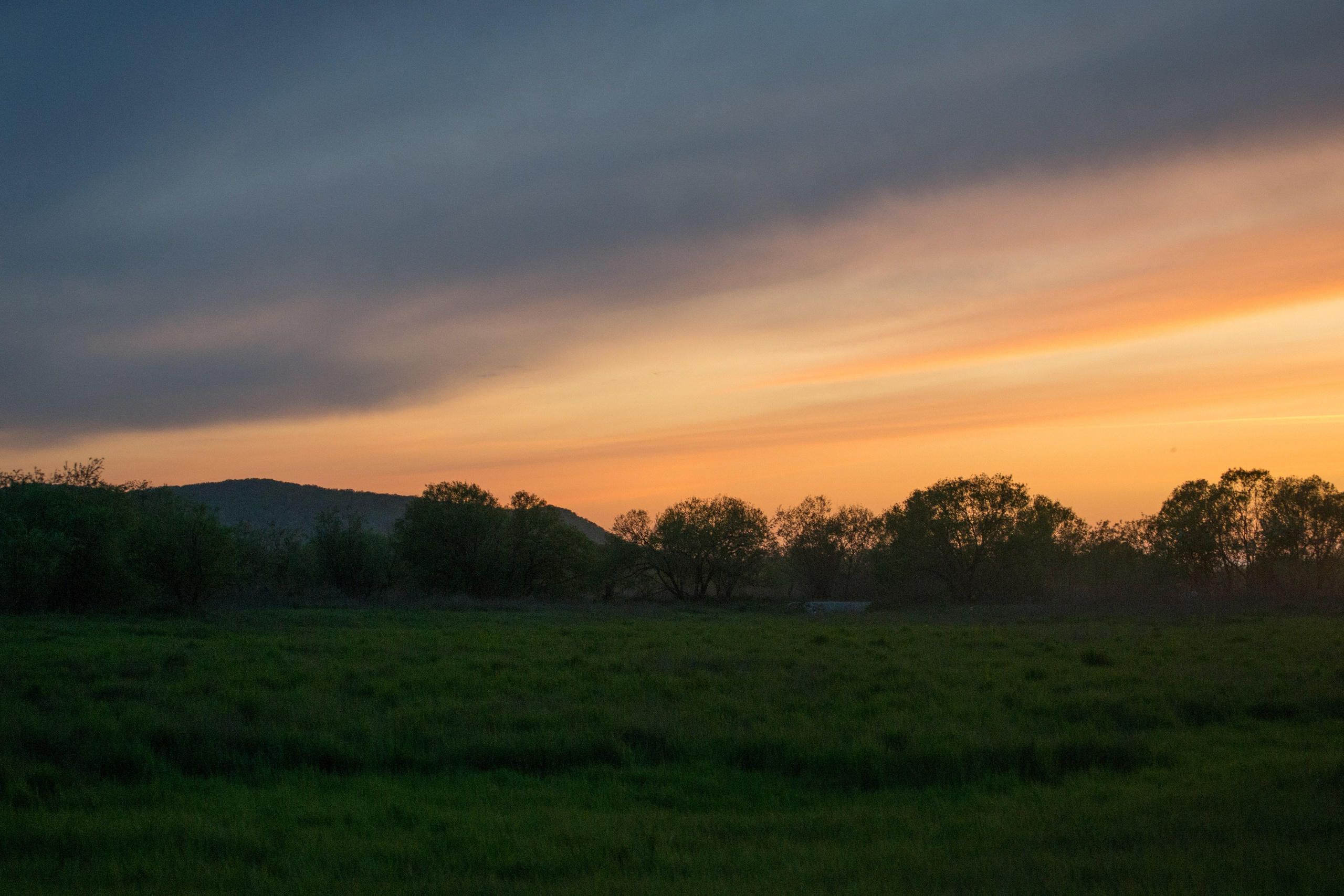 дачи, город, архитектура, стрит, репортажная фотография, фотография, Хабаровск, фотосессия, фотограф, дом, новостройка, улицы, жизнь города, town, art, photo, photographer, photo, Khabarovsk, Far East, street photo, природа, Дальний Восток, тайга, цветы, закат, небо, облака, nature, clouds, forest, flower, sunset