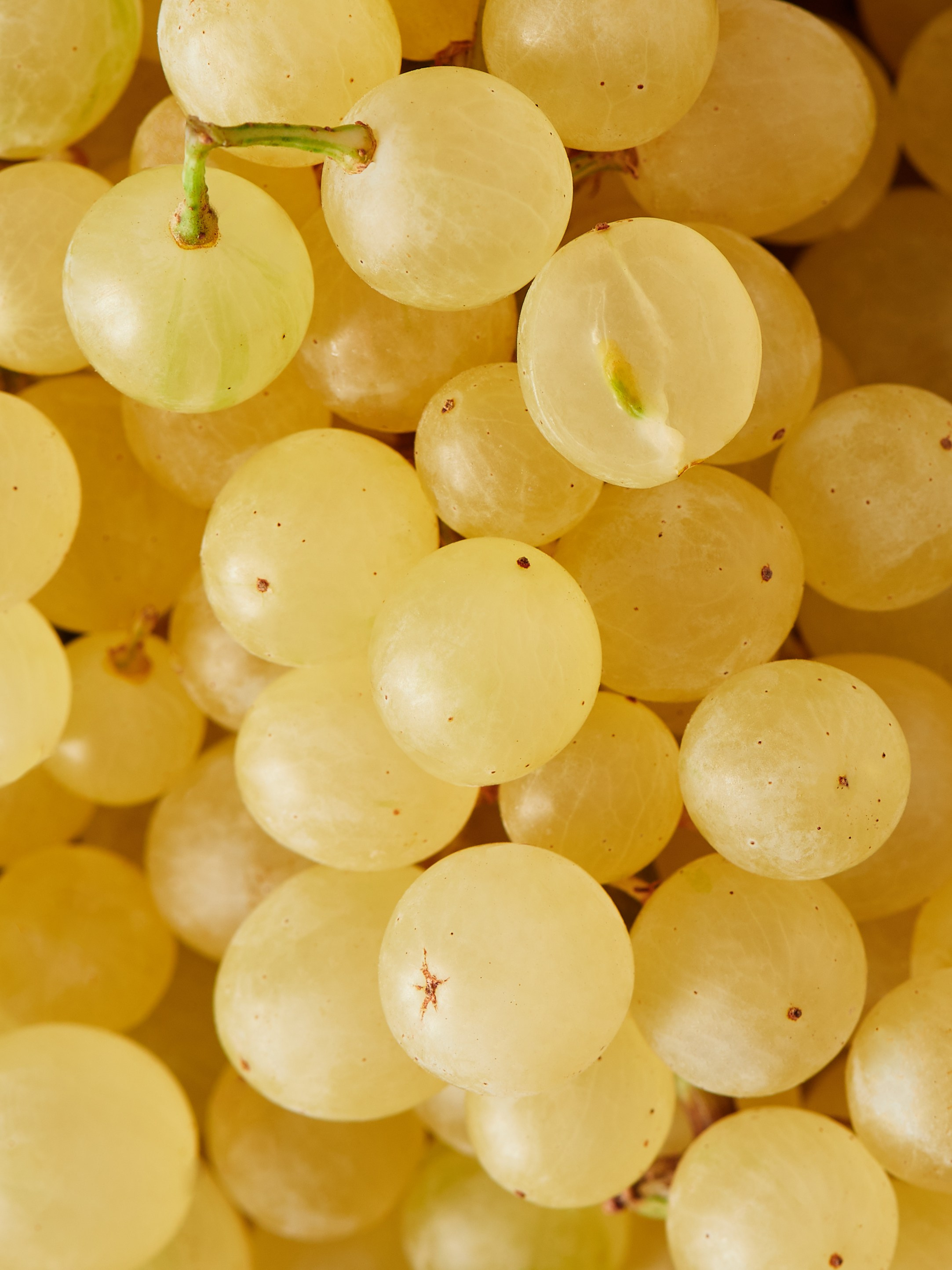 FOOD & PRODUCT. CONTENT MAKER ШМАКОВ ВЛАДИМИР