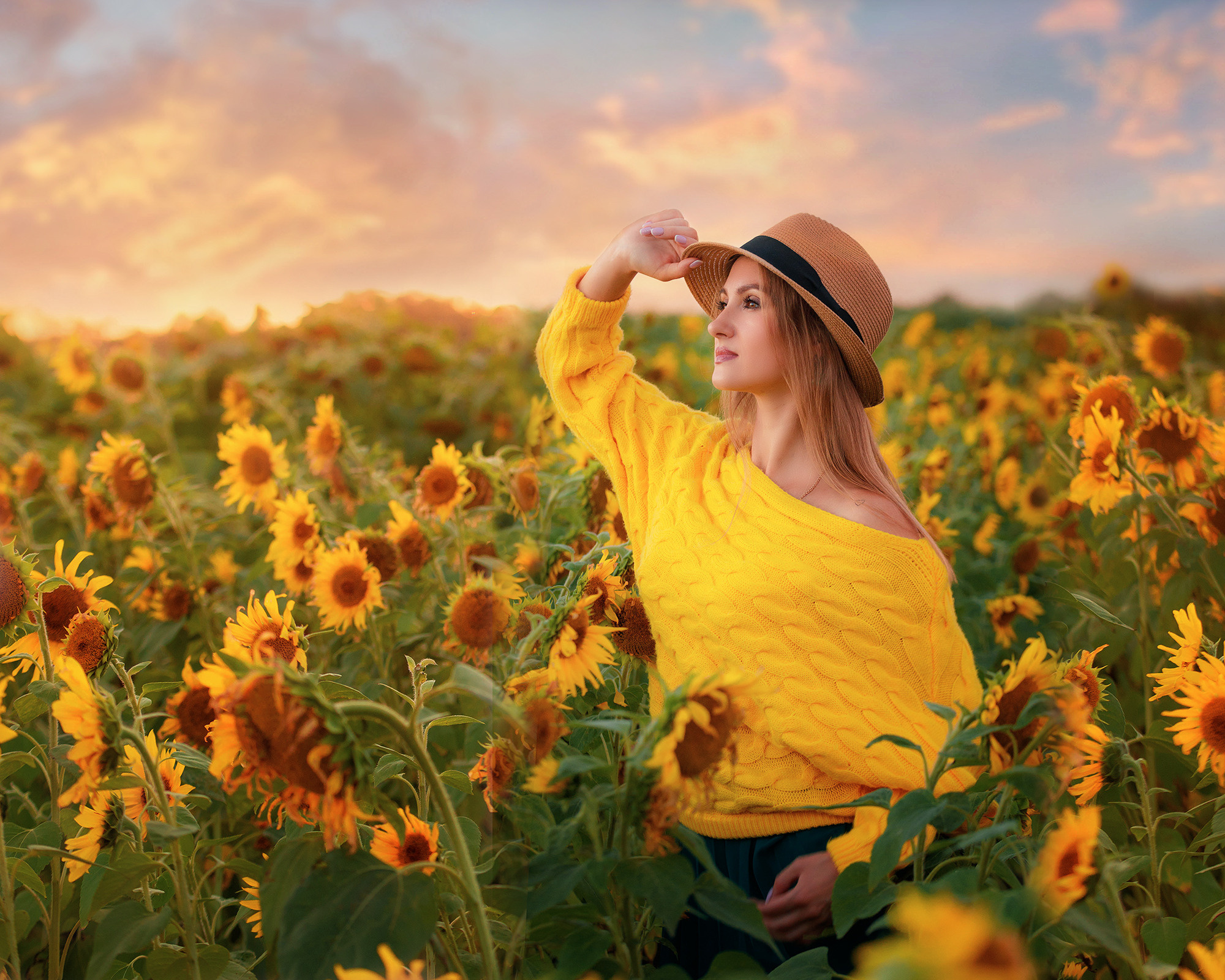 Подсолнухи. Семейный и детский фотограф в Москве Ольга Мэй