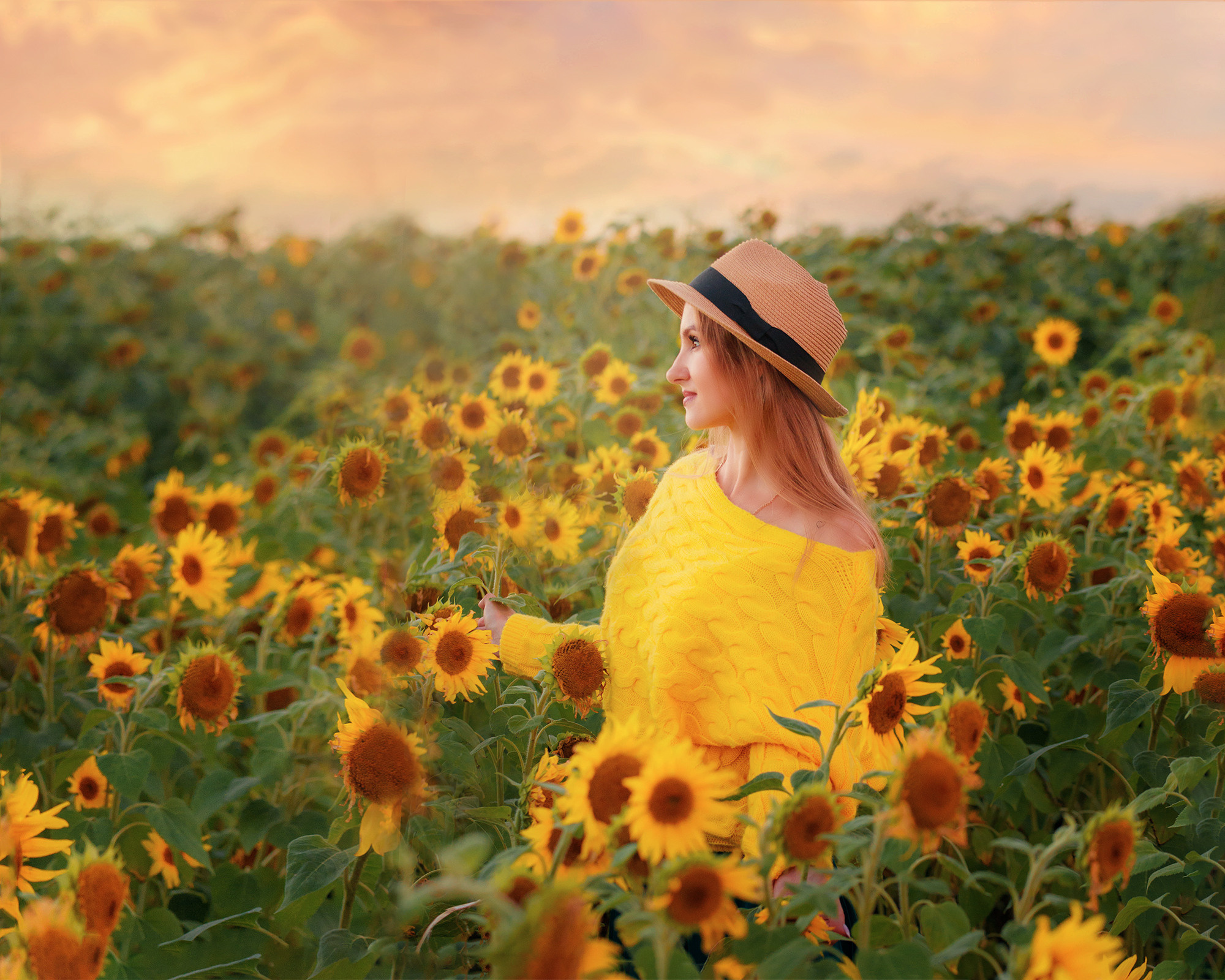 Подсолнухи. Семейный и детский фотограф в Москве Ольга Мэй