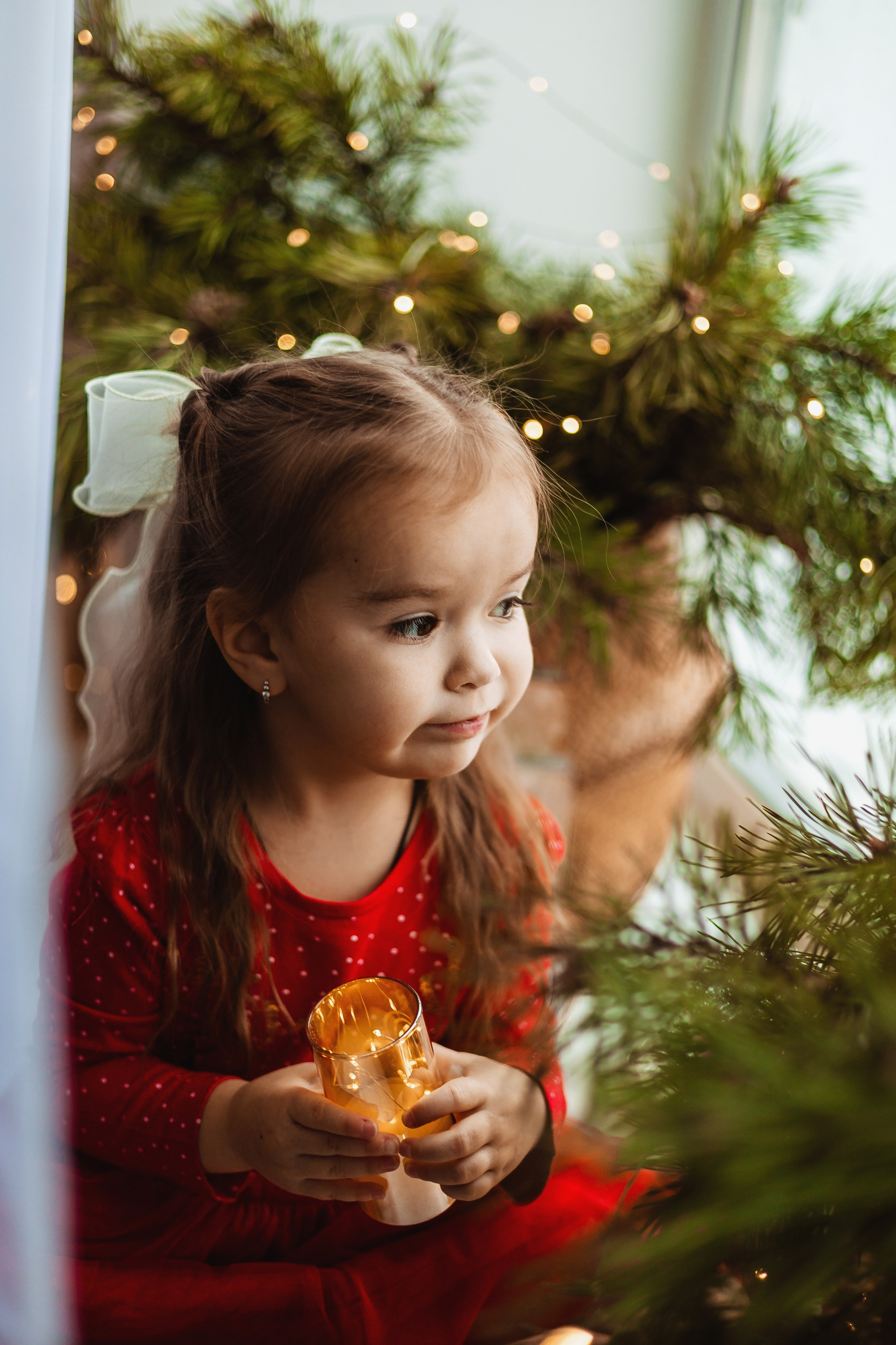 Новый год 2026. Фотограф Лодейное Поле Екатерина Герасимова в Санкт-Петербурге и Лен. области