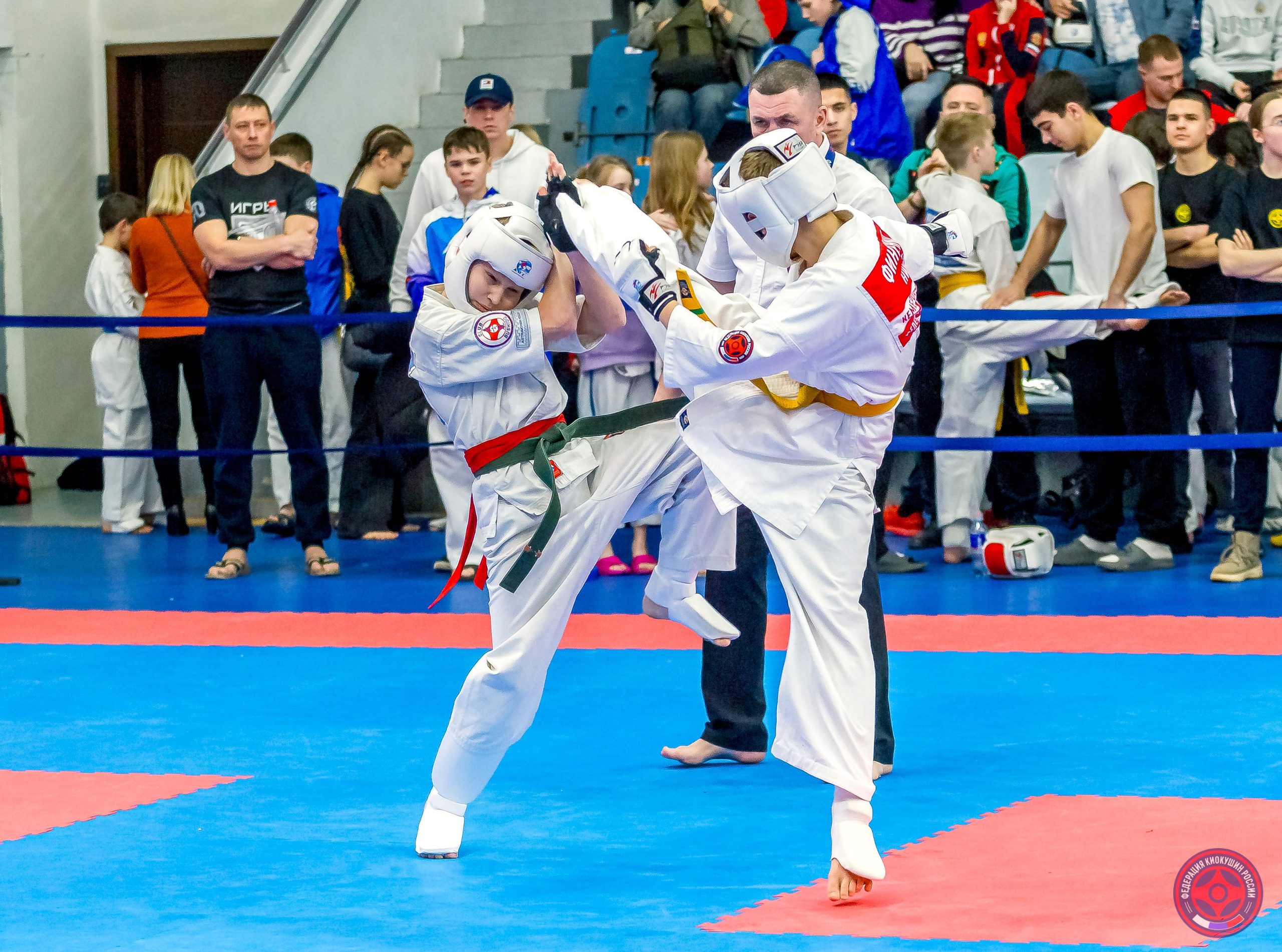 Международный турнир по киокушин «Открытый кубок Seiken». Репортажная съемка в Москве и области. Анималистика
