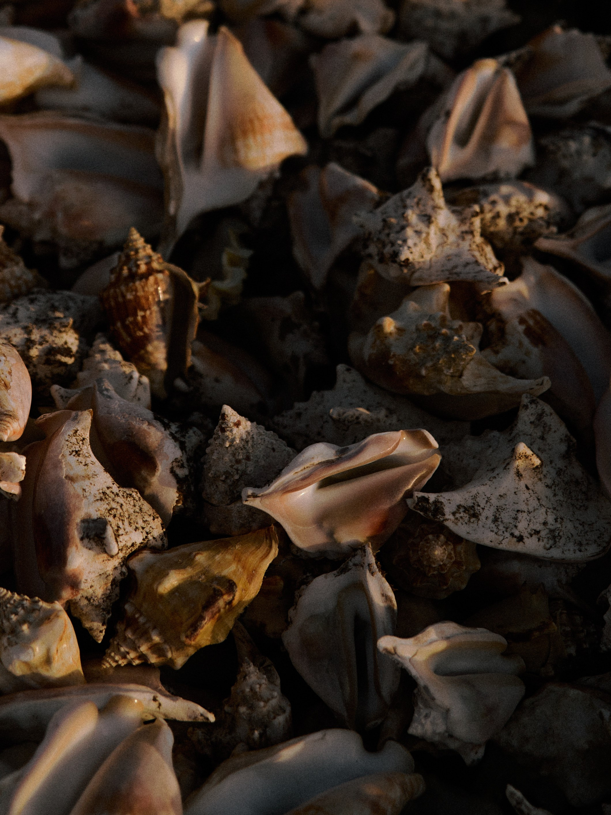 Другое 2. Jorgis Talè — photographer, kind person, teacher of arts and other mag