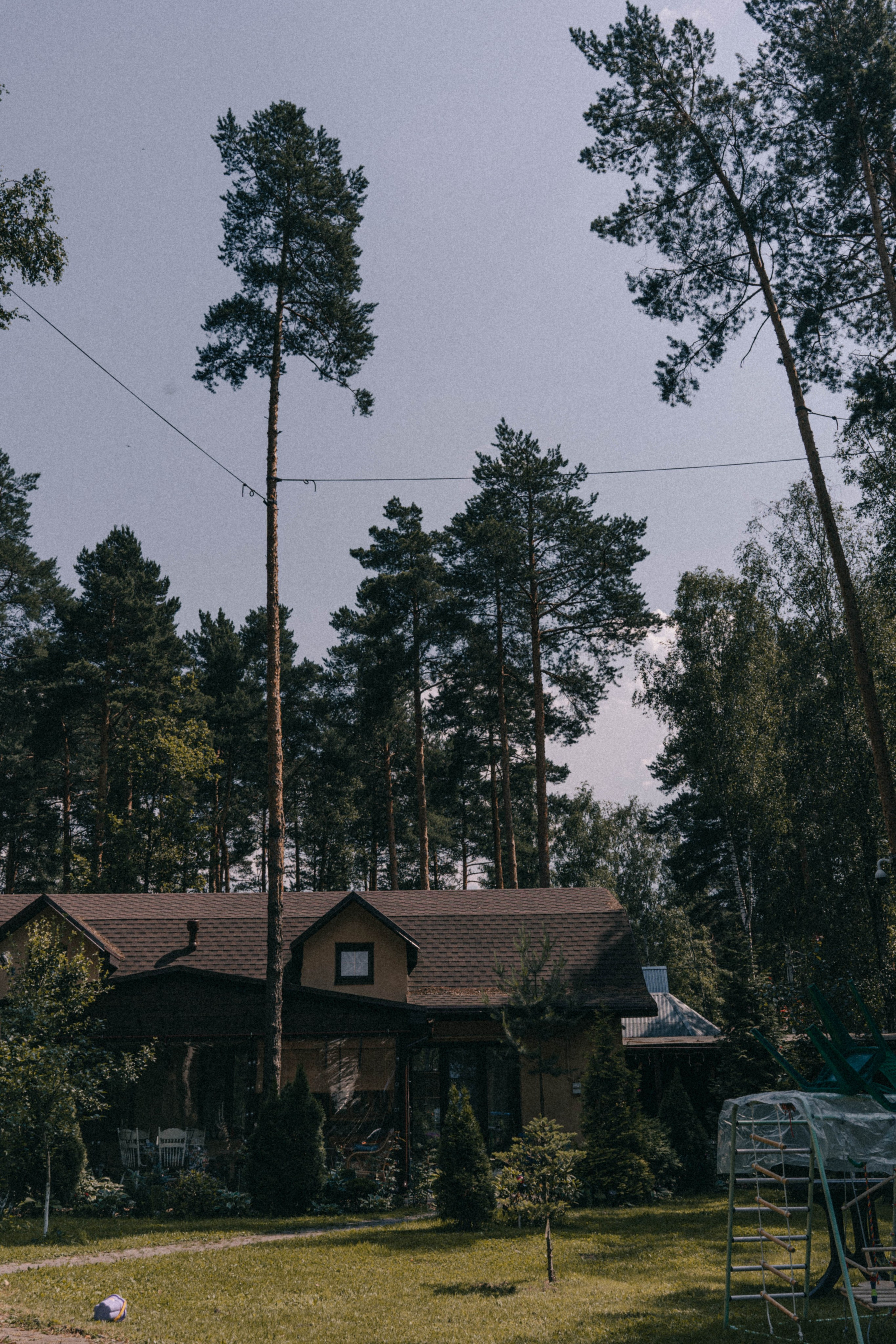 До луны и обратно. Семейный и свадебный фотограф
