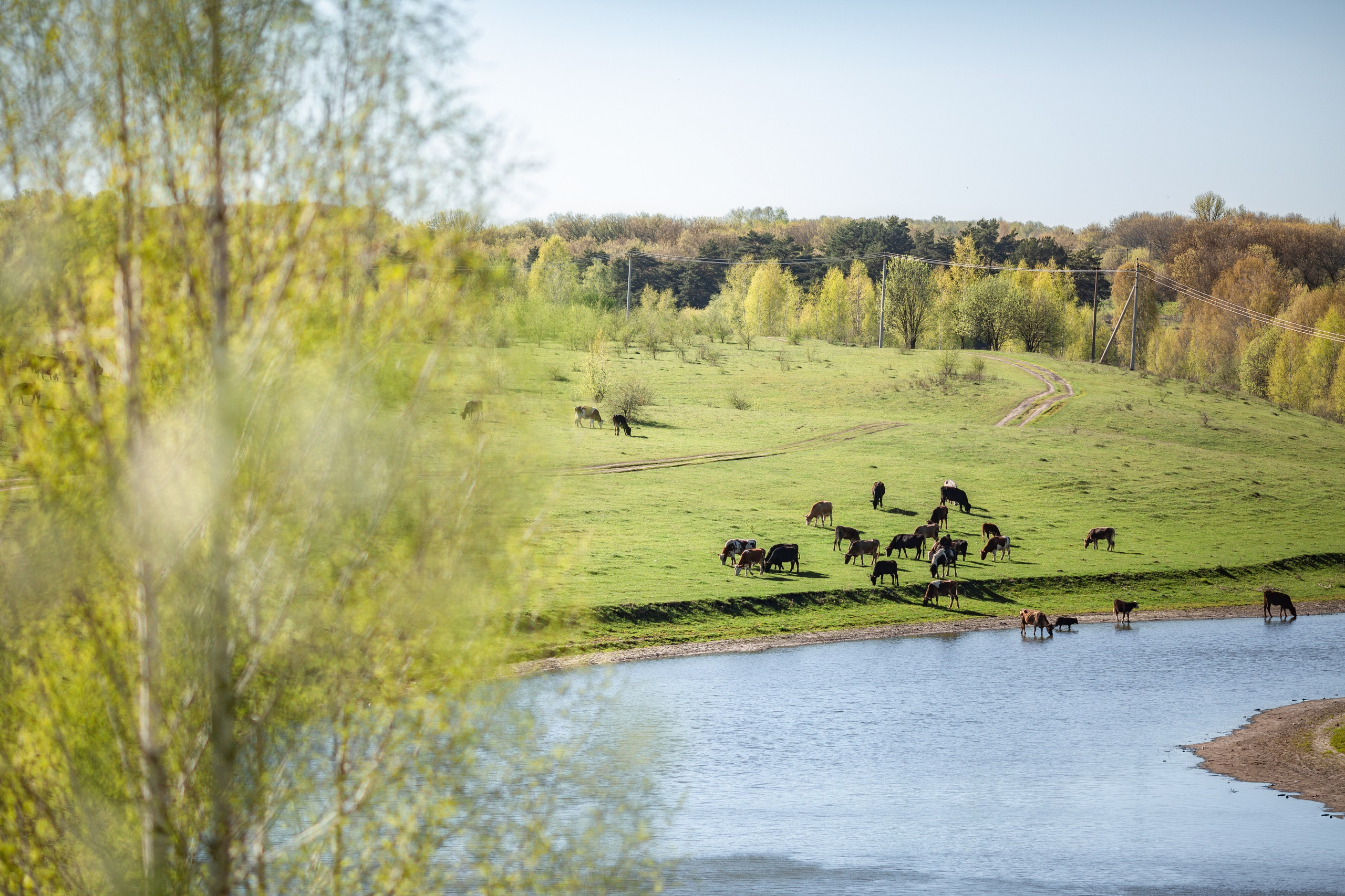 Толмачевский пруд. Семейный и детский фотограф |Брянск| Анастасия Перепелкина
