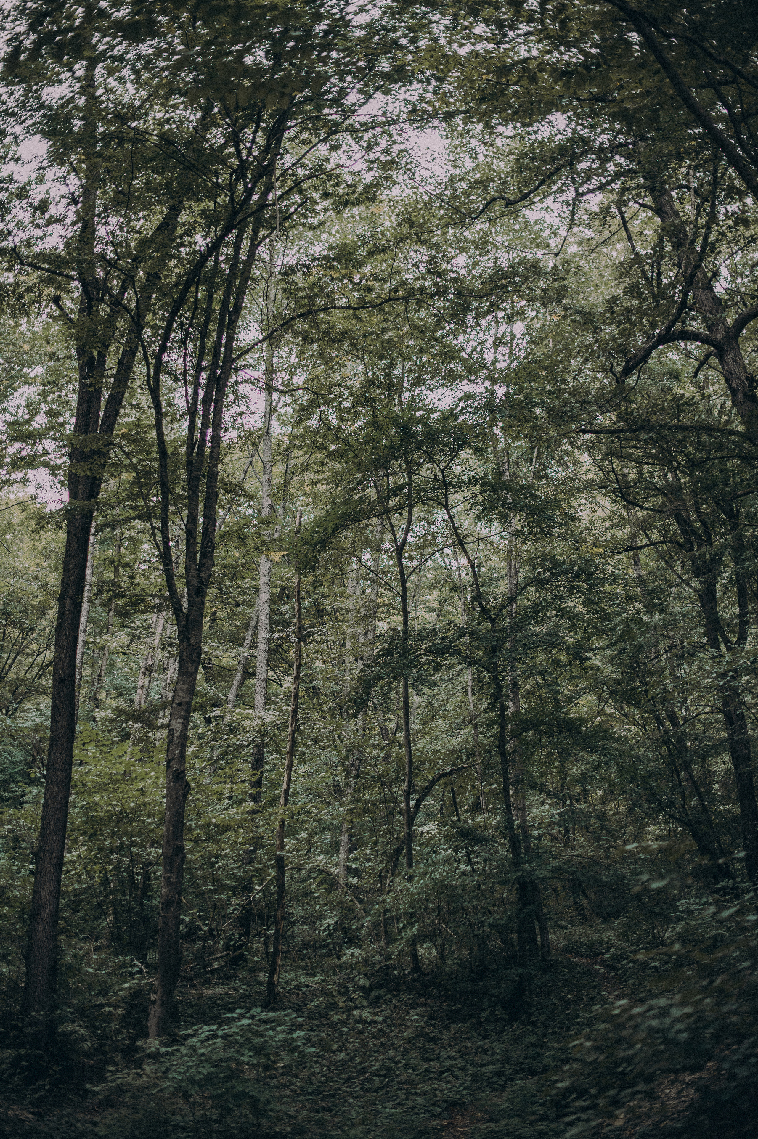 Начнем с вечности?!. Свадебный и семейный фотограф в Краснодаре Листкова Галина