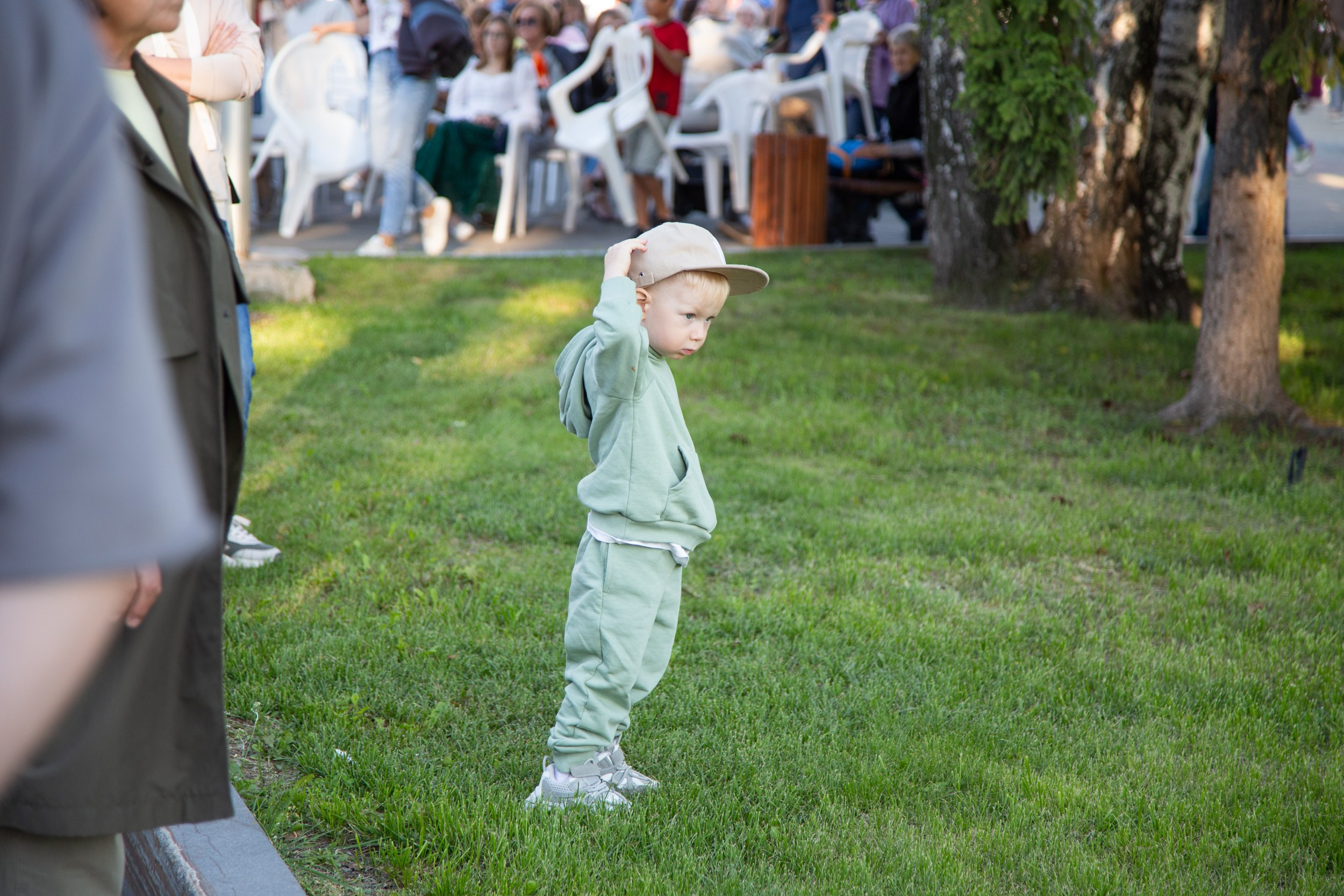Венский фестиваль. Главная