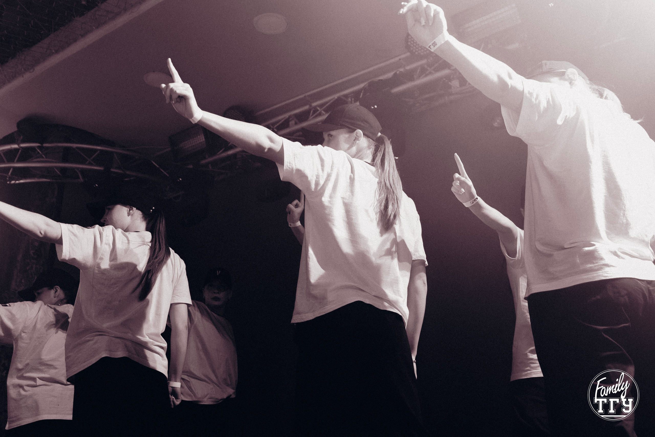 Посвят в Maison