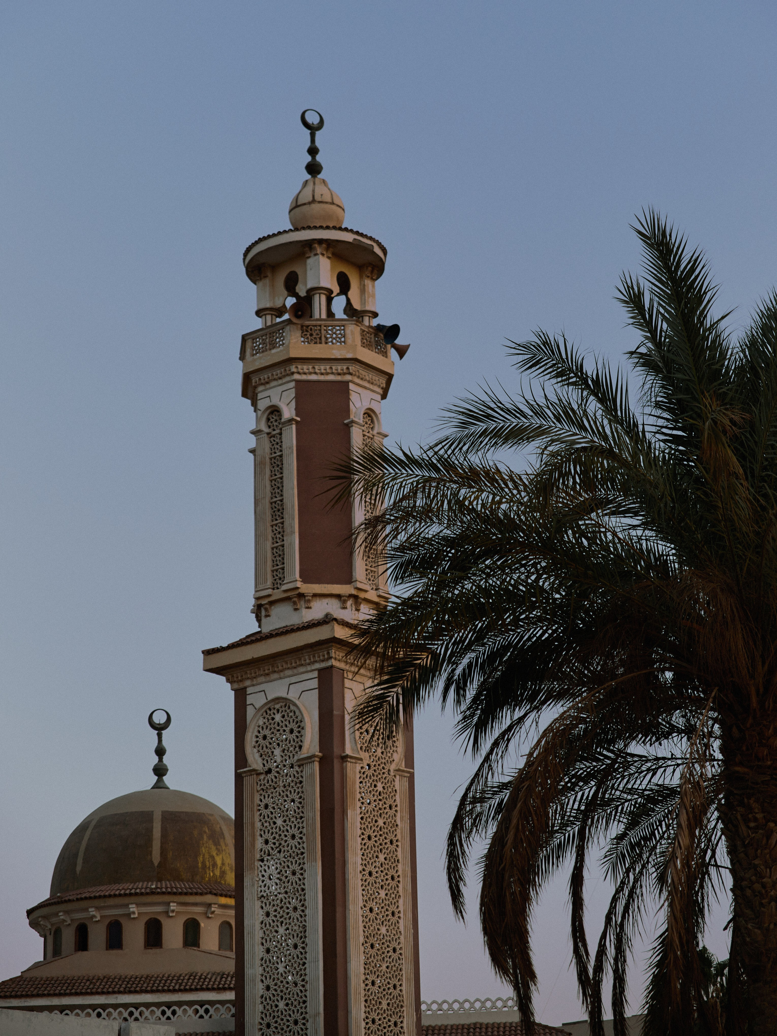 Природа сквозь. Jorgis Talè — photographer, kind person, teacher of arts and other mag