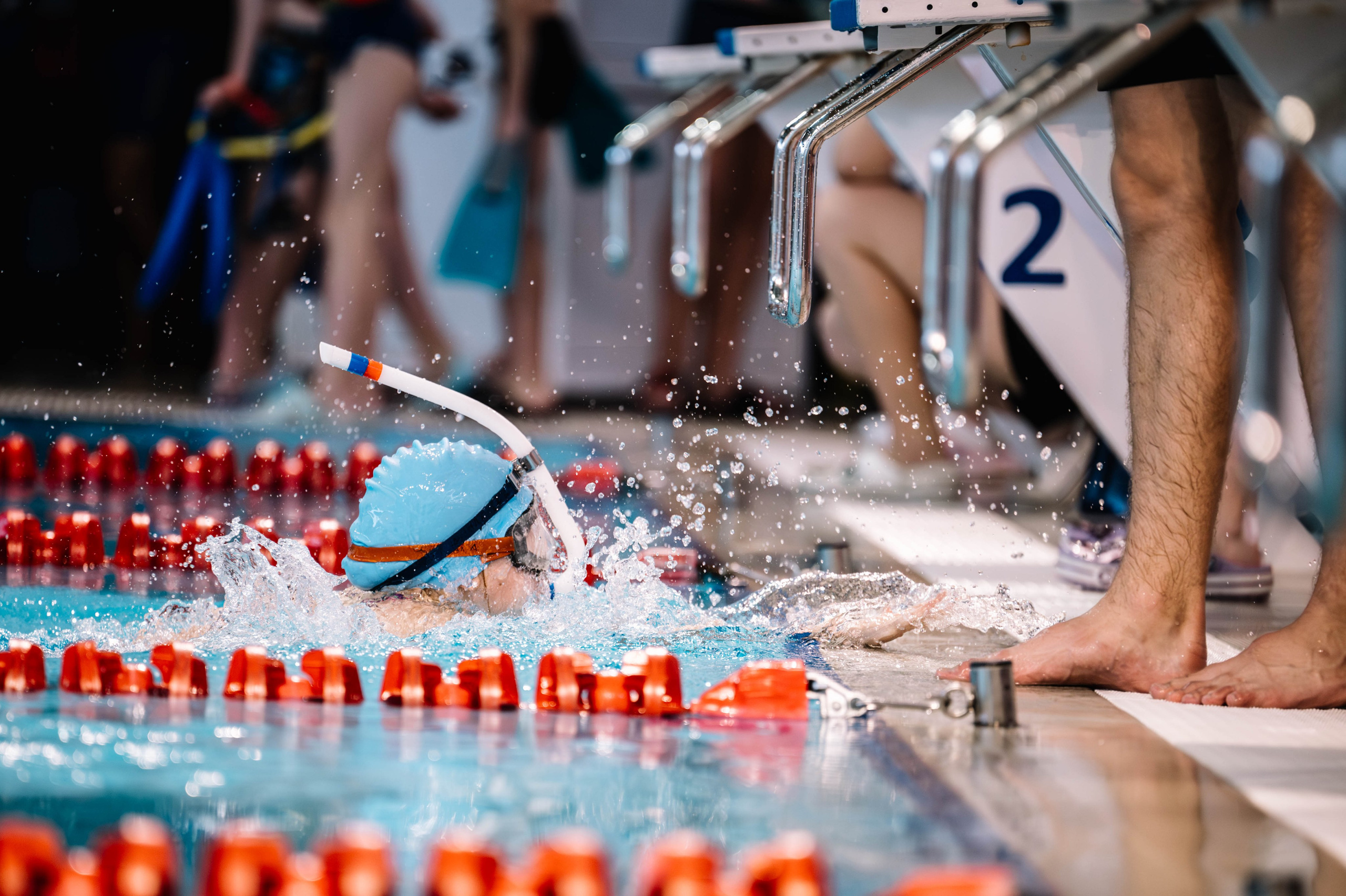 Первый этап кубка плавания, Дельфин. Октябрь, 2024. Спортивный фотограф в Туле и Тульской области. Файсханова Фото Спорт