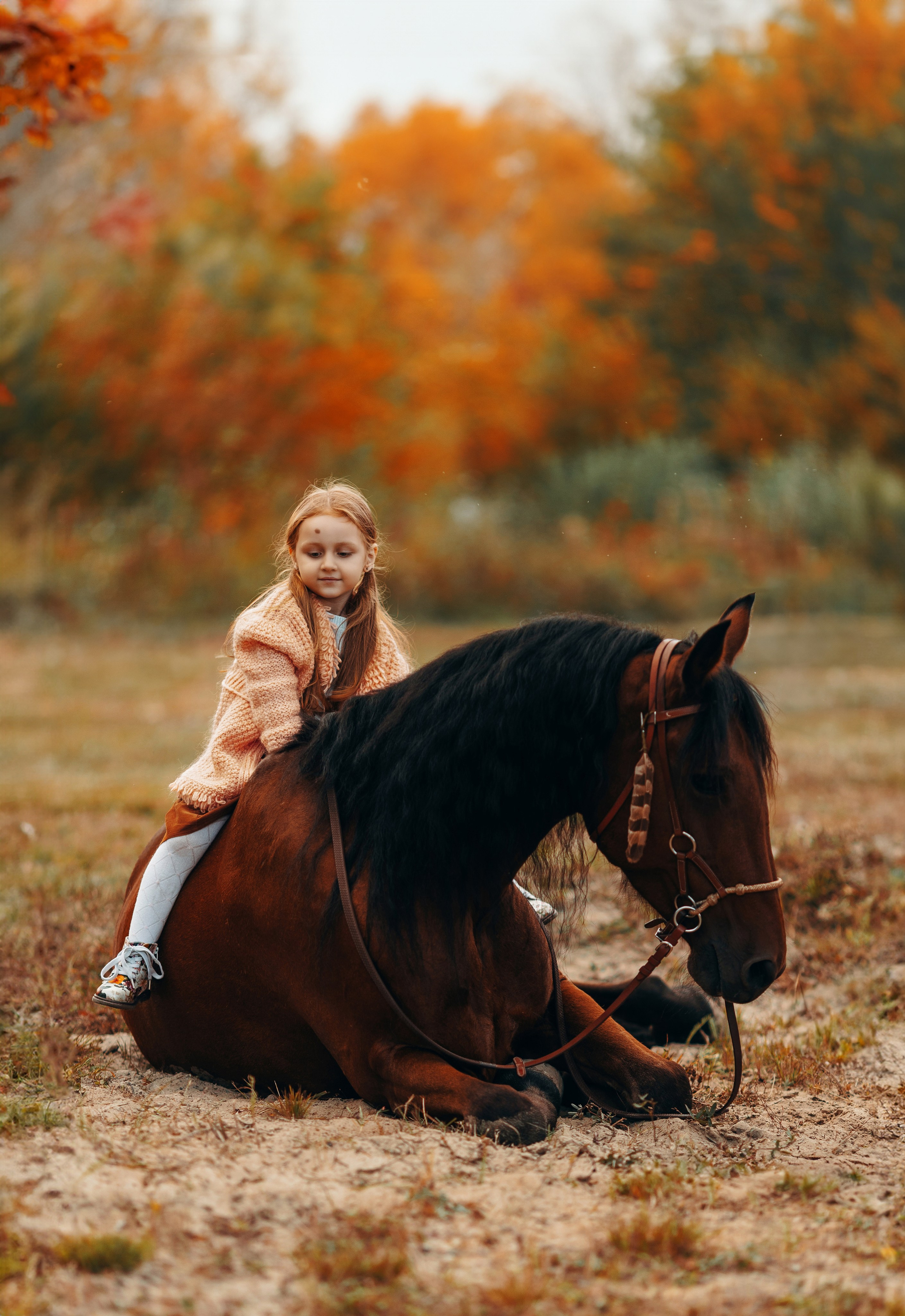 Для фотографов. Анна Молчанова конный фотограф в Тюмени | фотосессии с лошадьми Тюмень