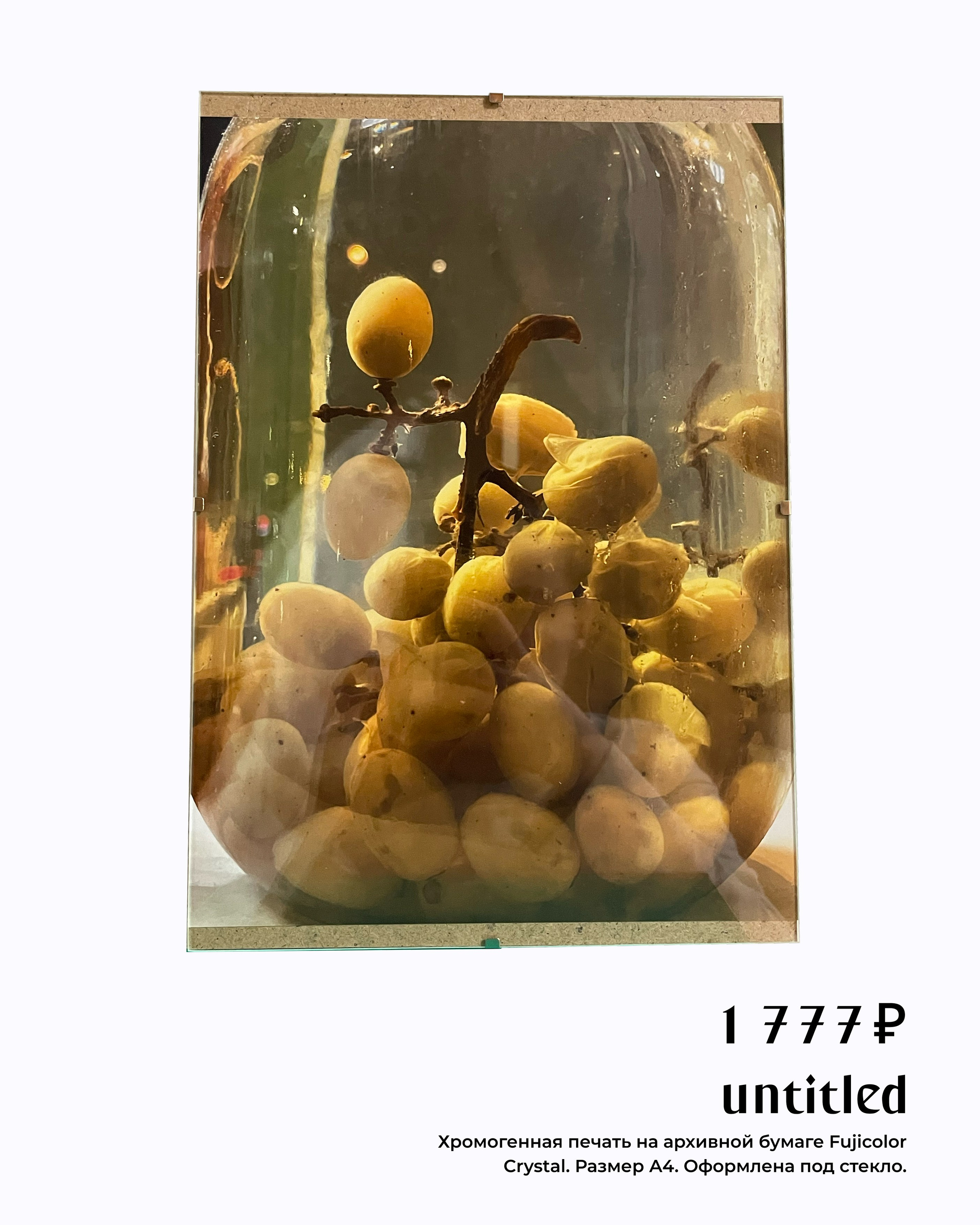 Тиражная фотография.