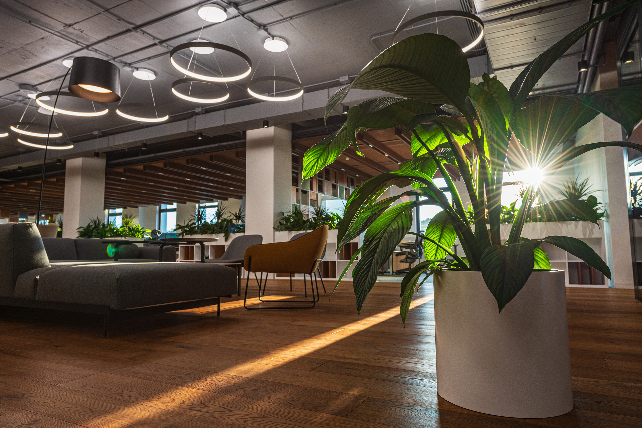 Interiors. Фотограф — Денис Богомолов