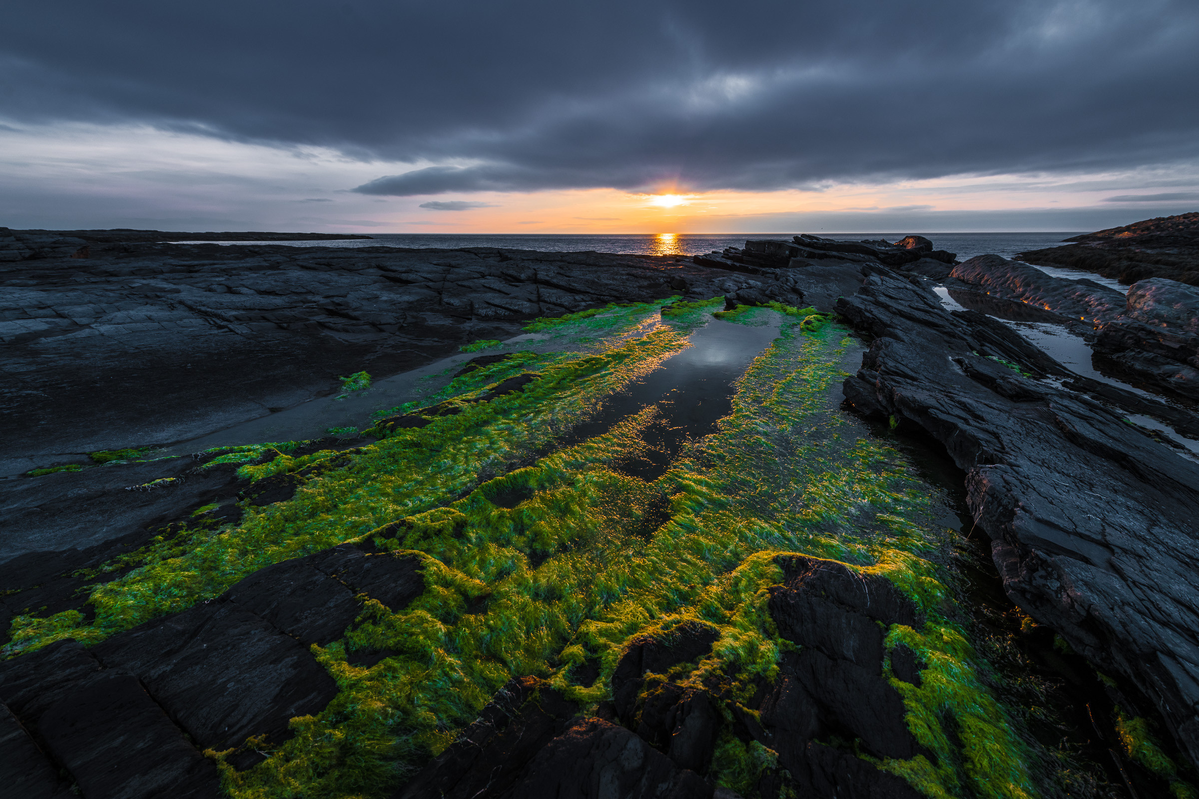 Landscapes. Фотограф — Денис Богомолов