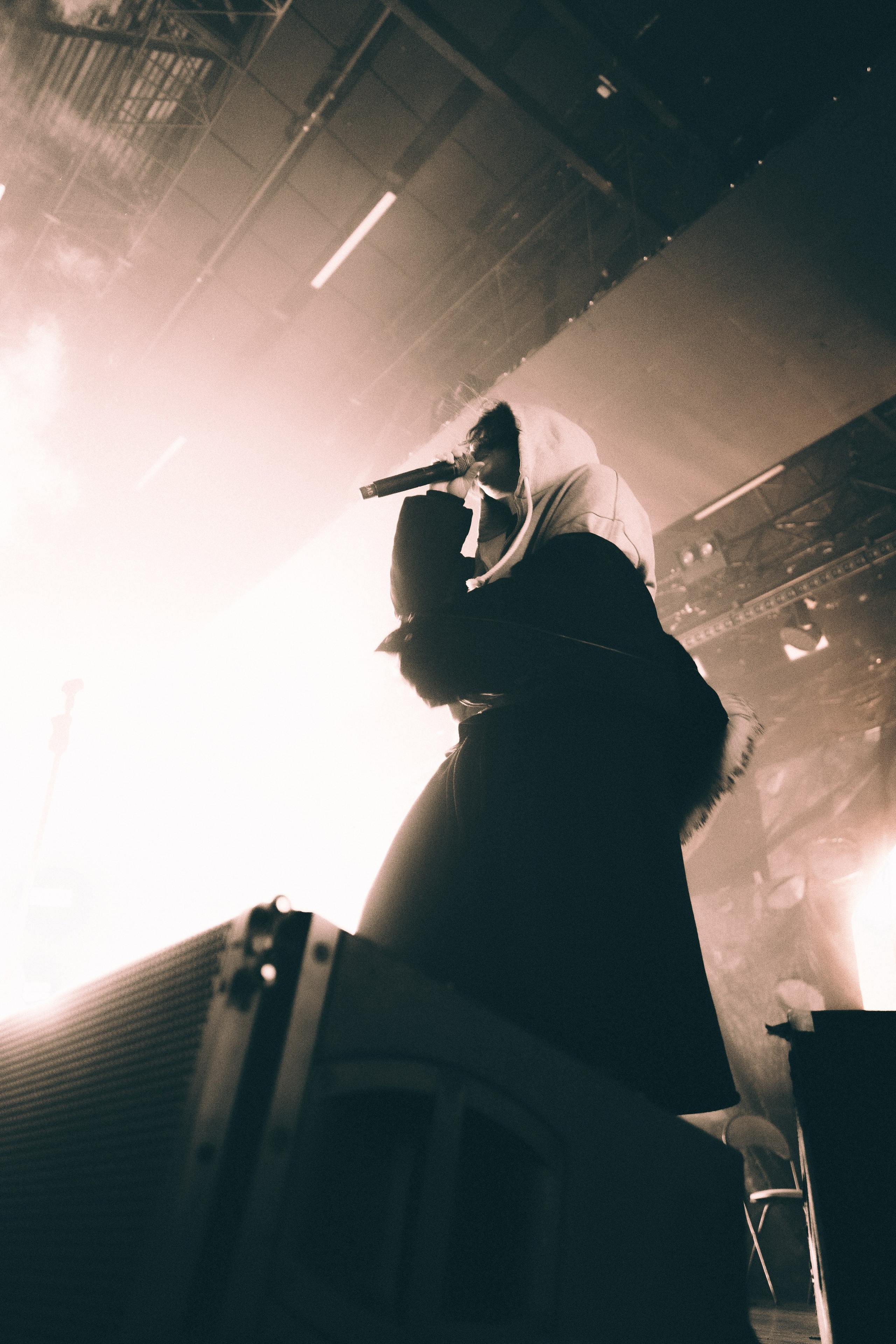 SALUKI. PASHAHARCE PHOTOGRAPHER & VIDEOGRAPHER