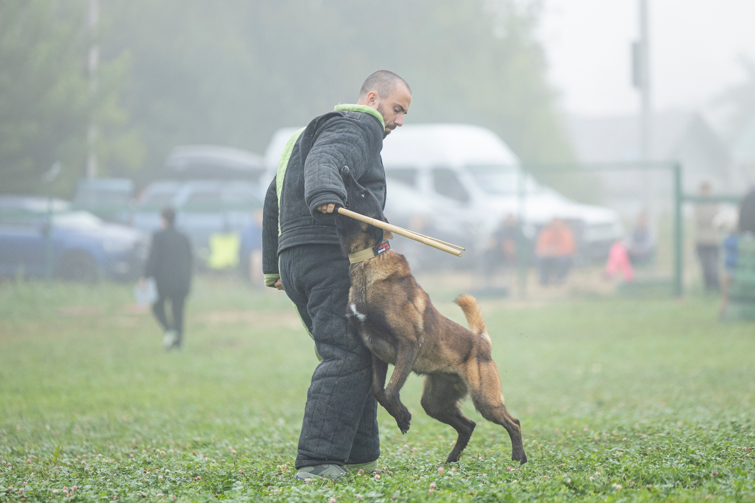 Соревнования по Мондьорингу г. Вологда 10-11.08.2024. Фотограф-анималист Анна Маринич