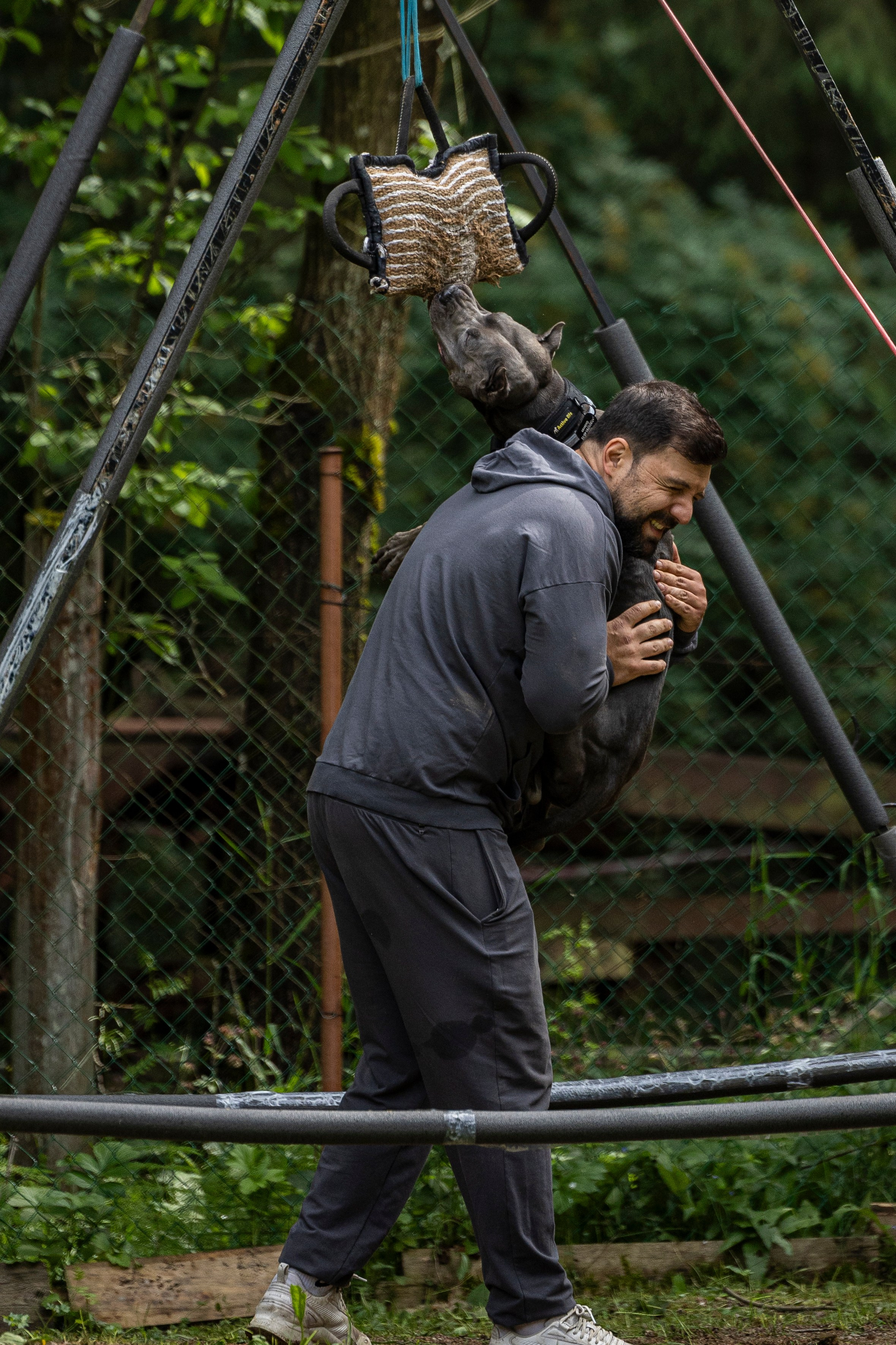 Пит-стафф многоборье. Фотограф-анималист Анна Маринич