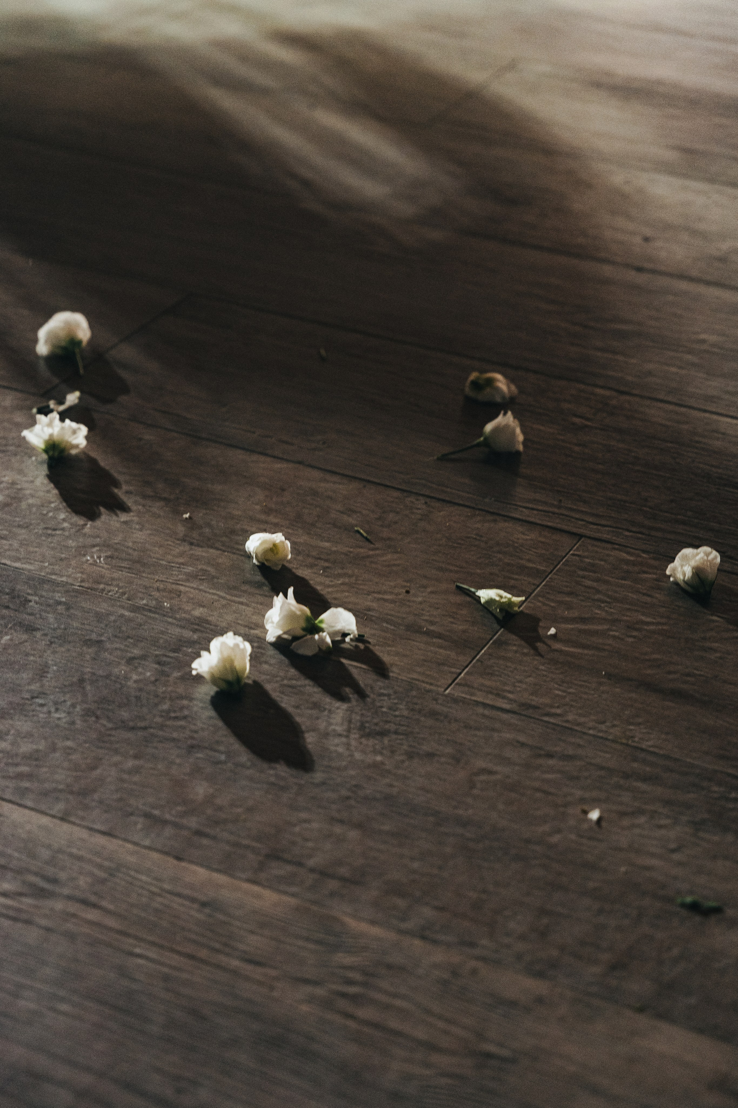 N & V. Свадебный и портретный фотограф в Тюмени Женя Черемнова