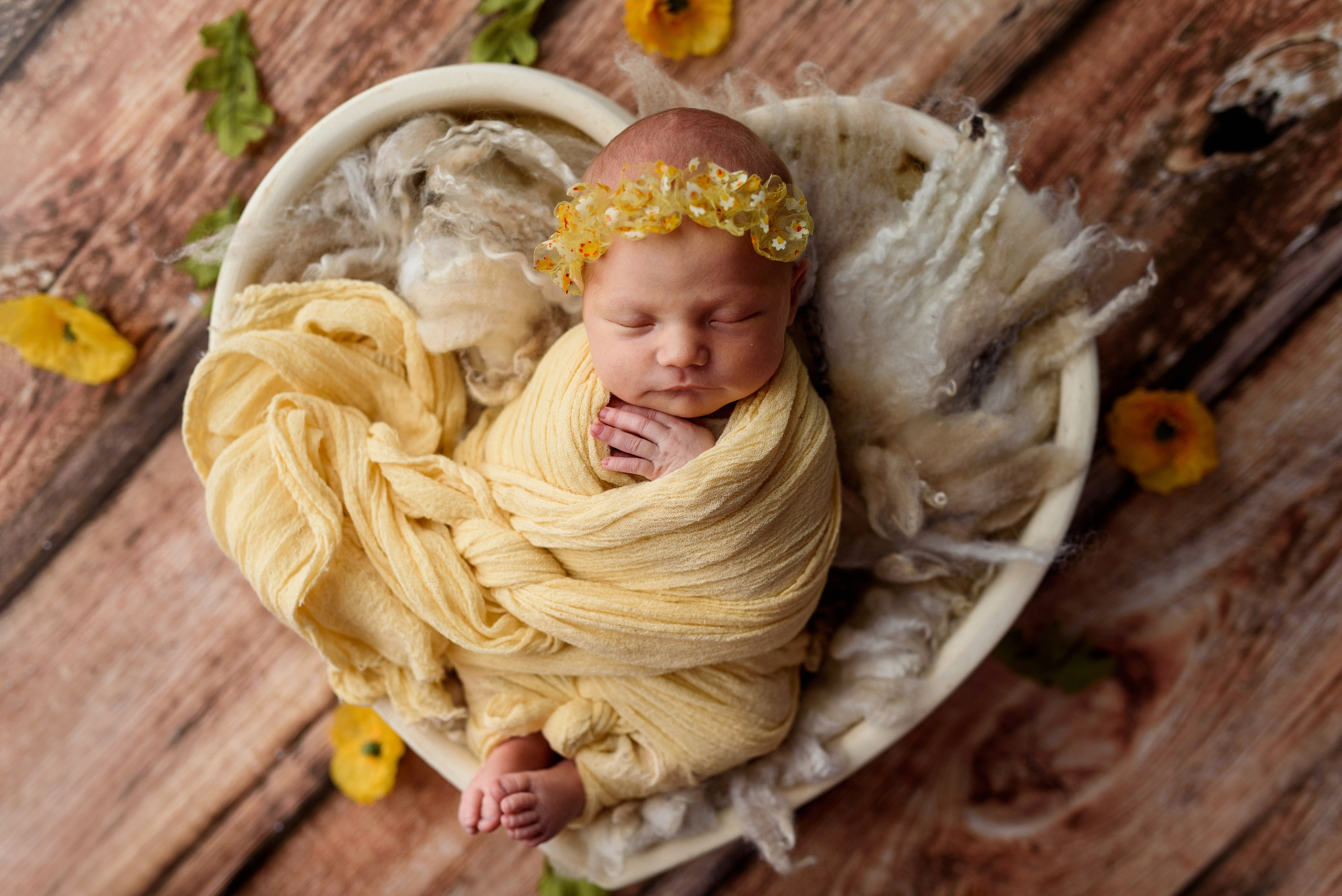 Новорожденные. Фотограф Шарыпово