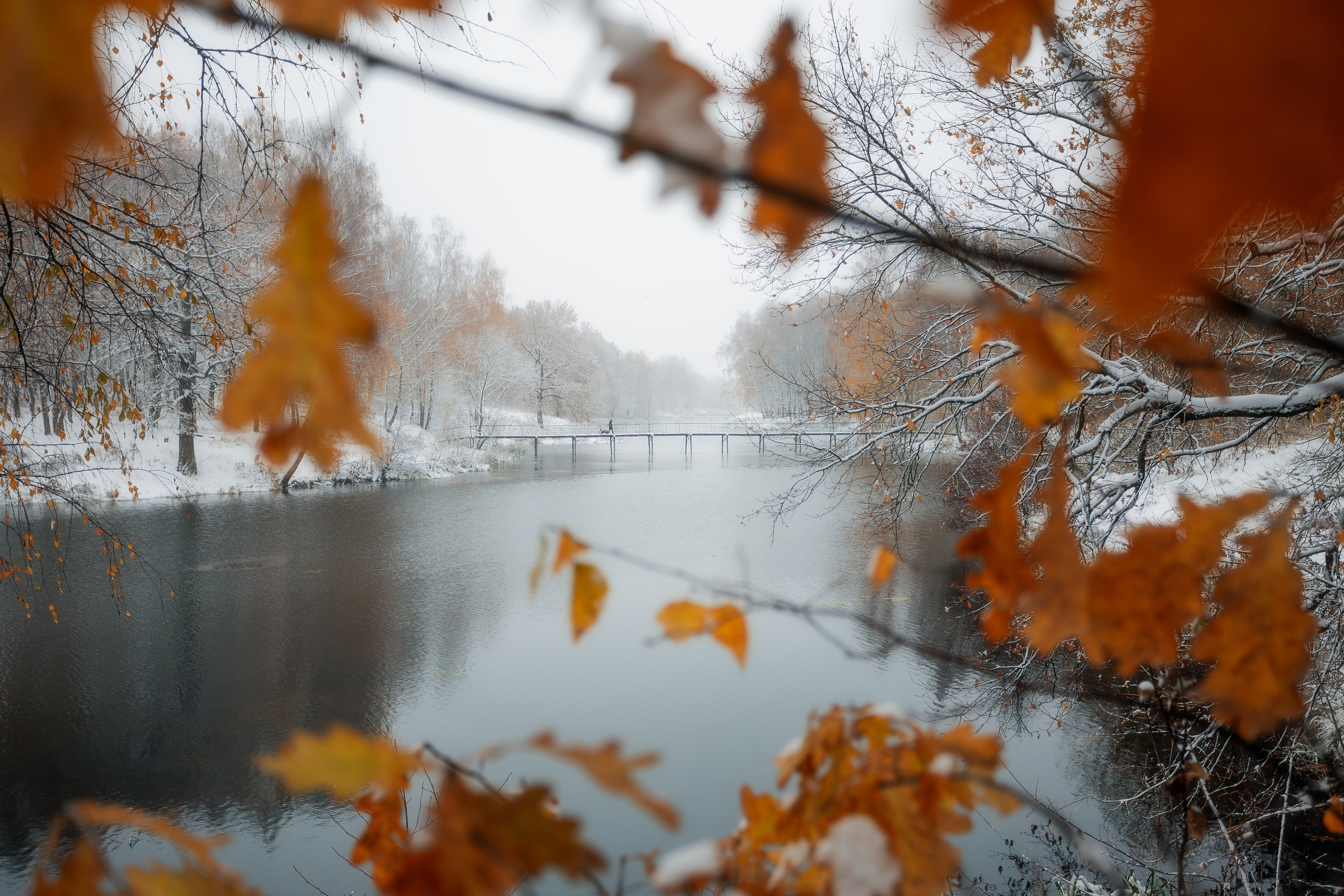 Природа (Осень). Фотограф Мартыненко Дмитрий